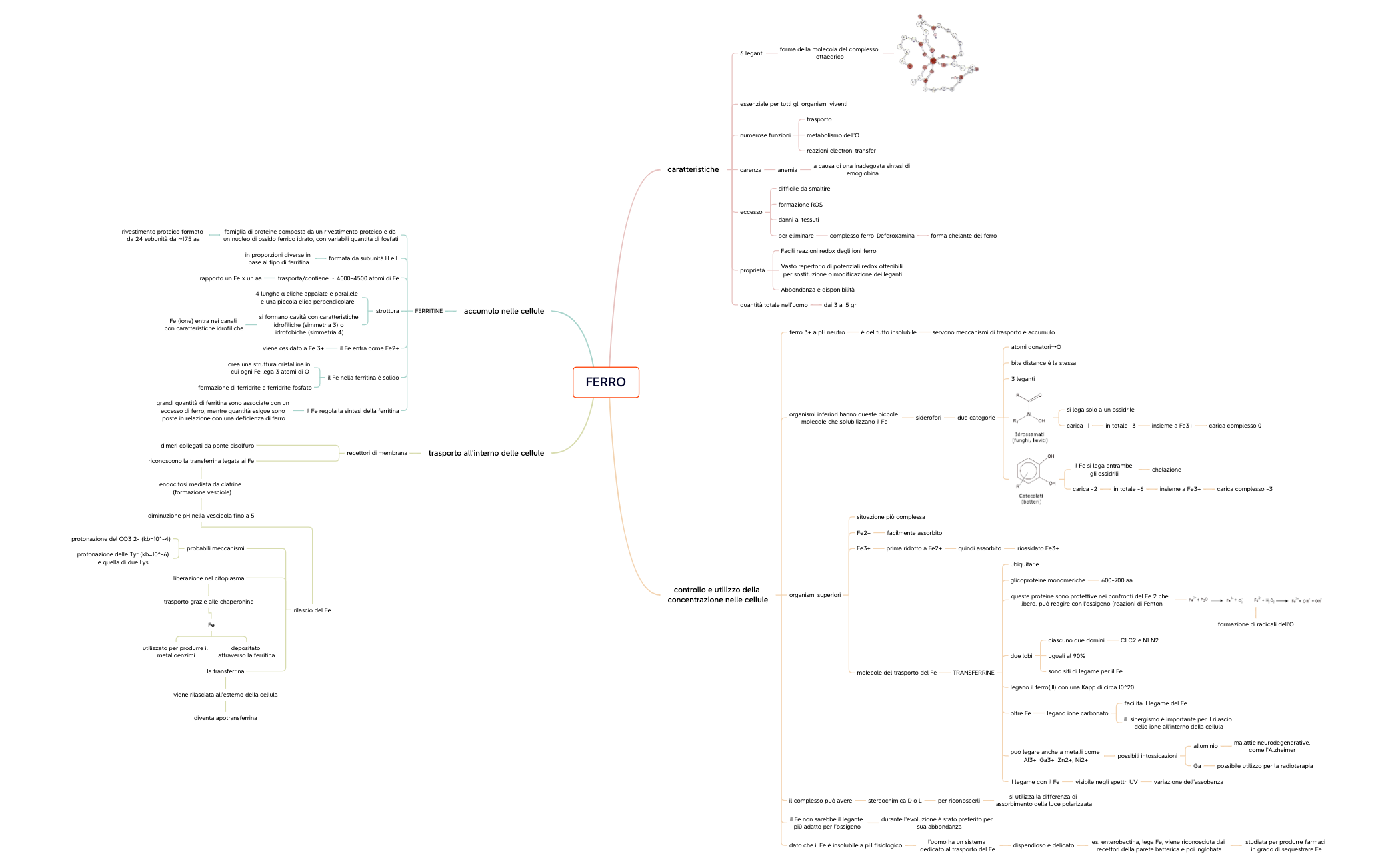 Oligoelementi preview 1