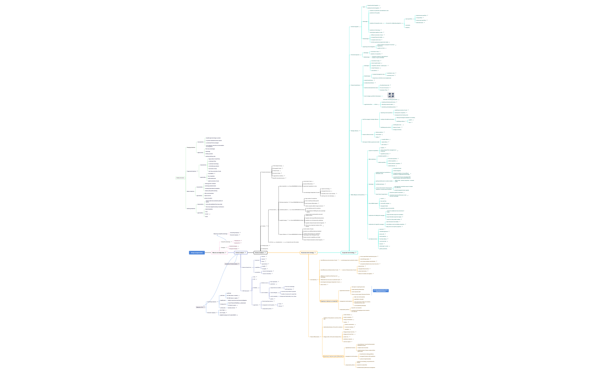 Strategic managment (Liisa).xmind preview 1