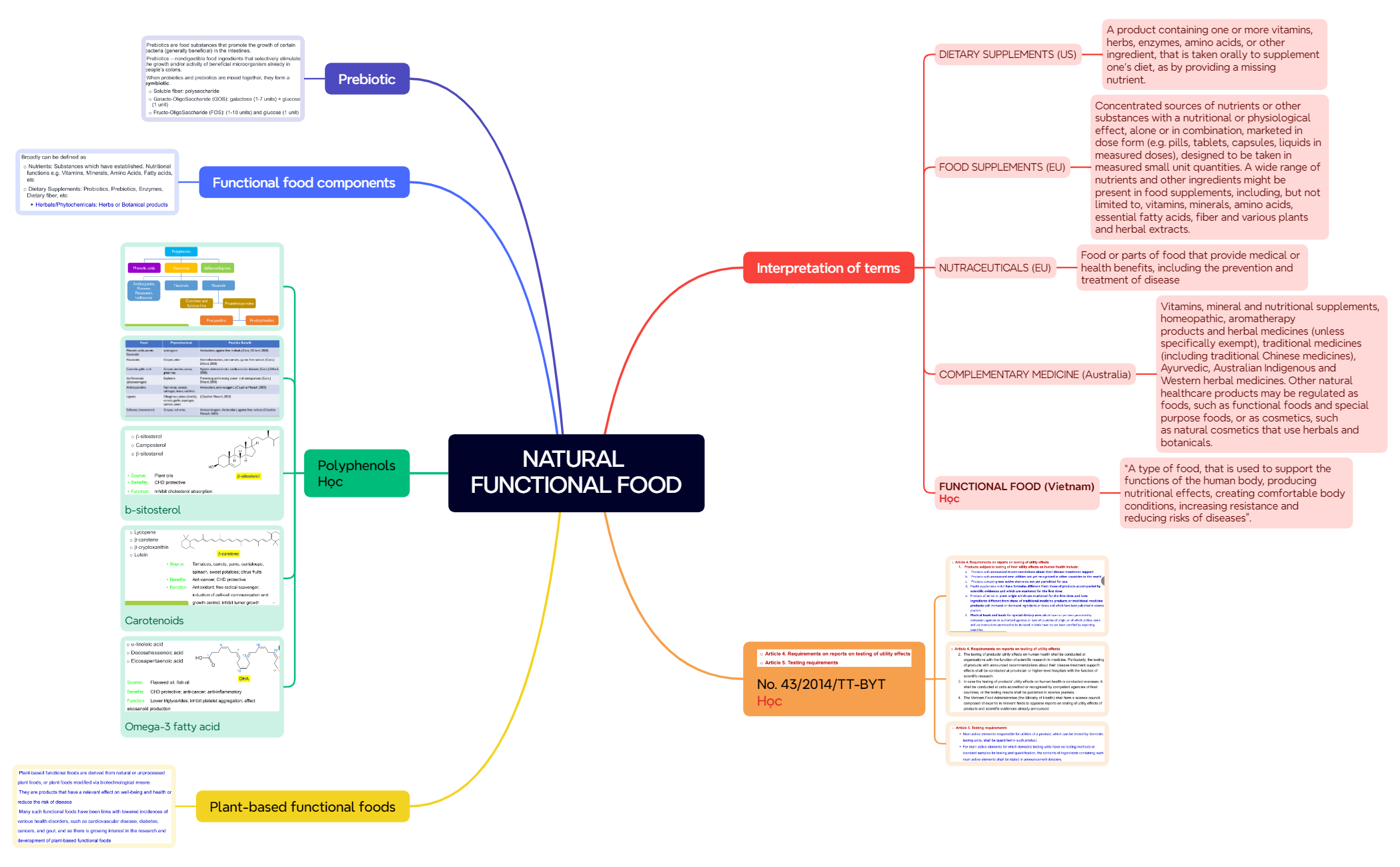 NATURAL FUNCTIONAL FOOD - XMind Template