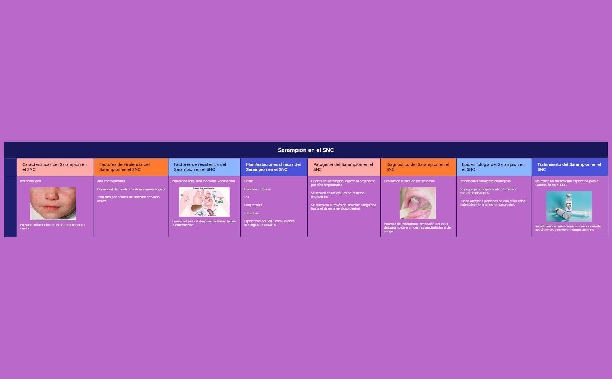 Sarampión en el SNC preview 1