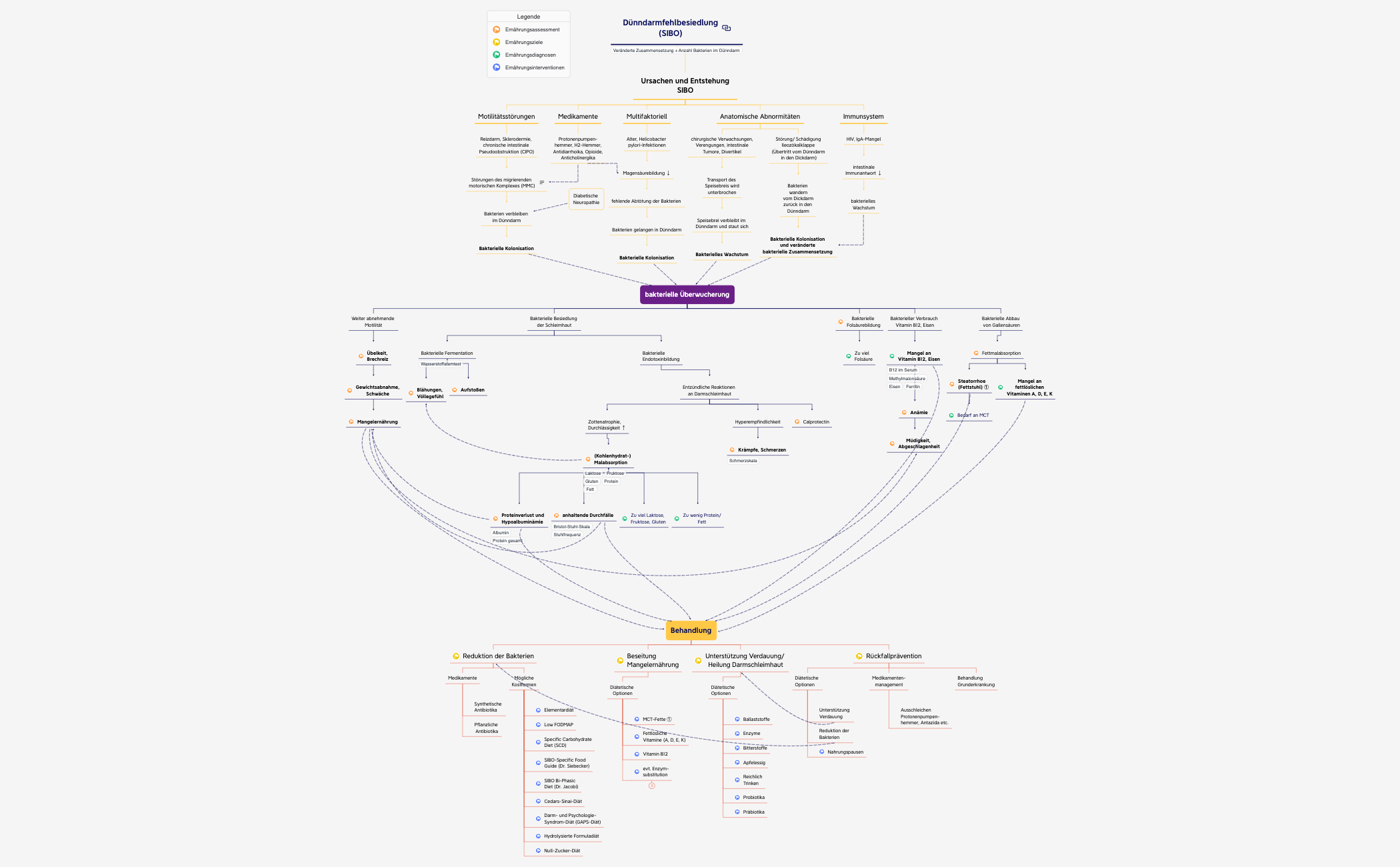 🟠 Dünndarmfehlbesiedlung preview 1