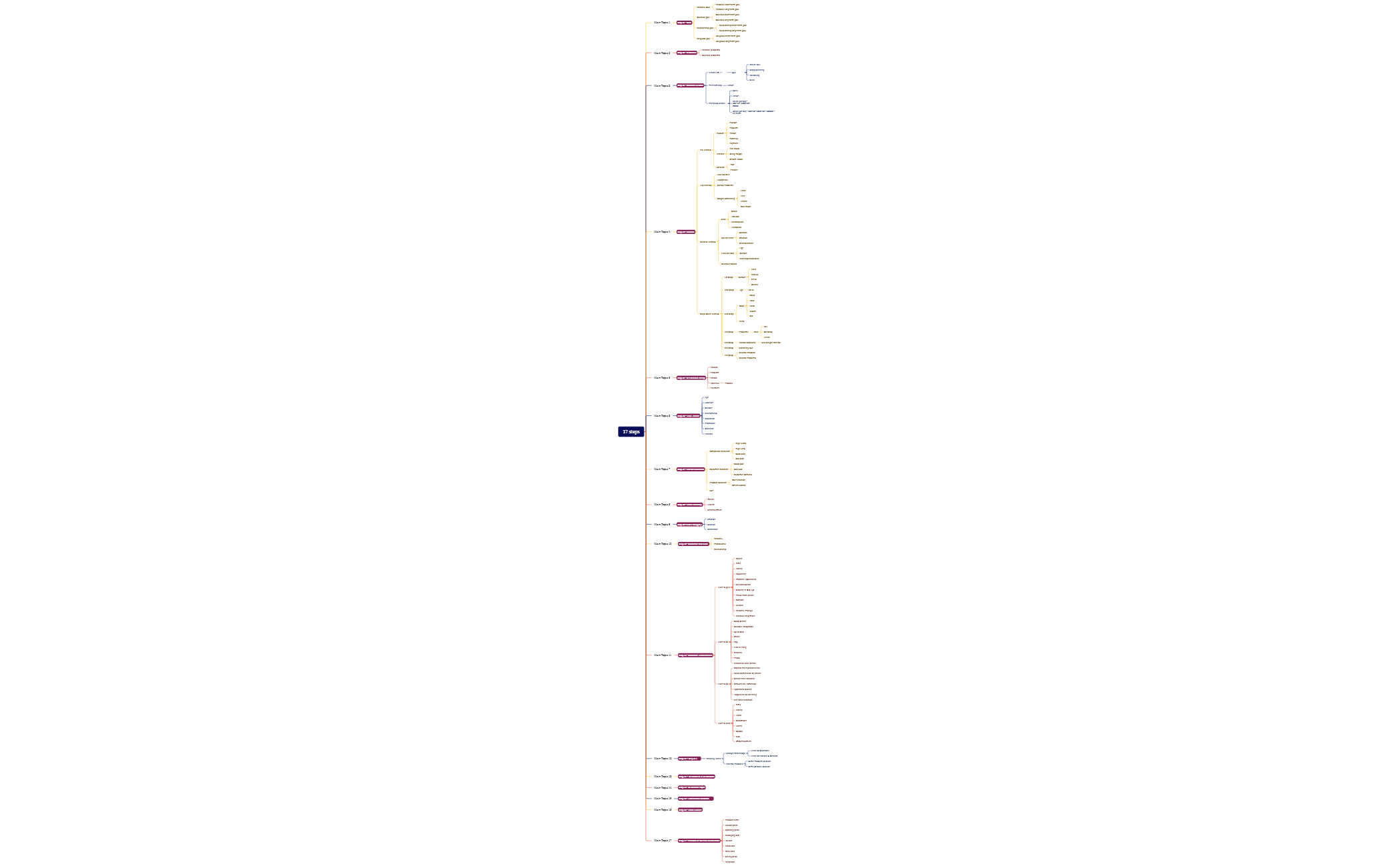 17 steps - XMind Template