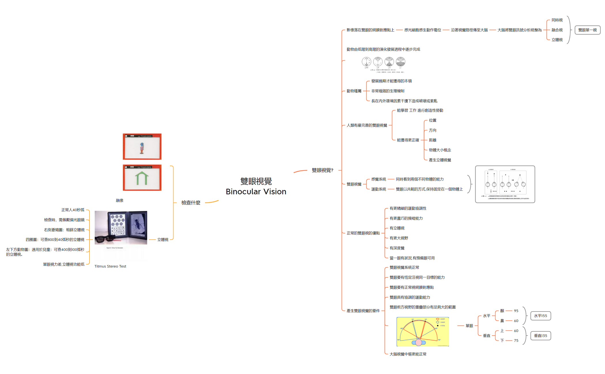 融像與立體視檢查法操作方式 preview 1
