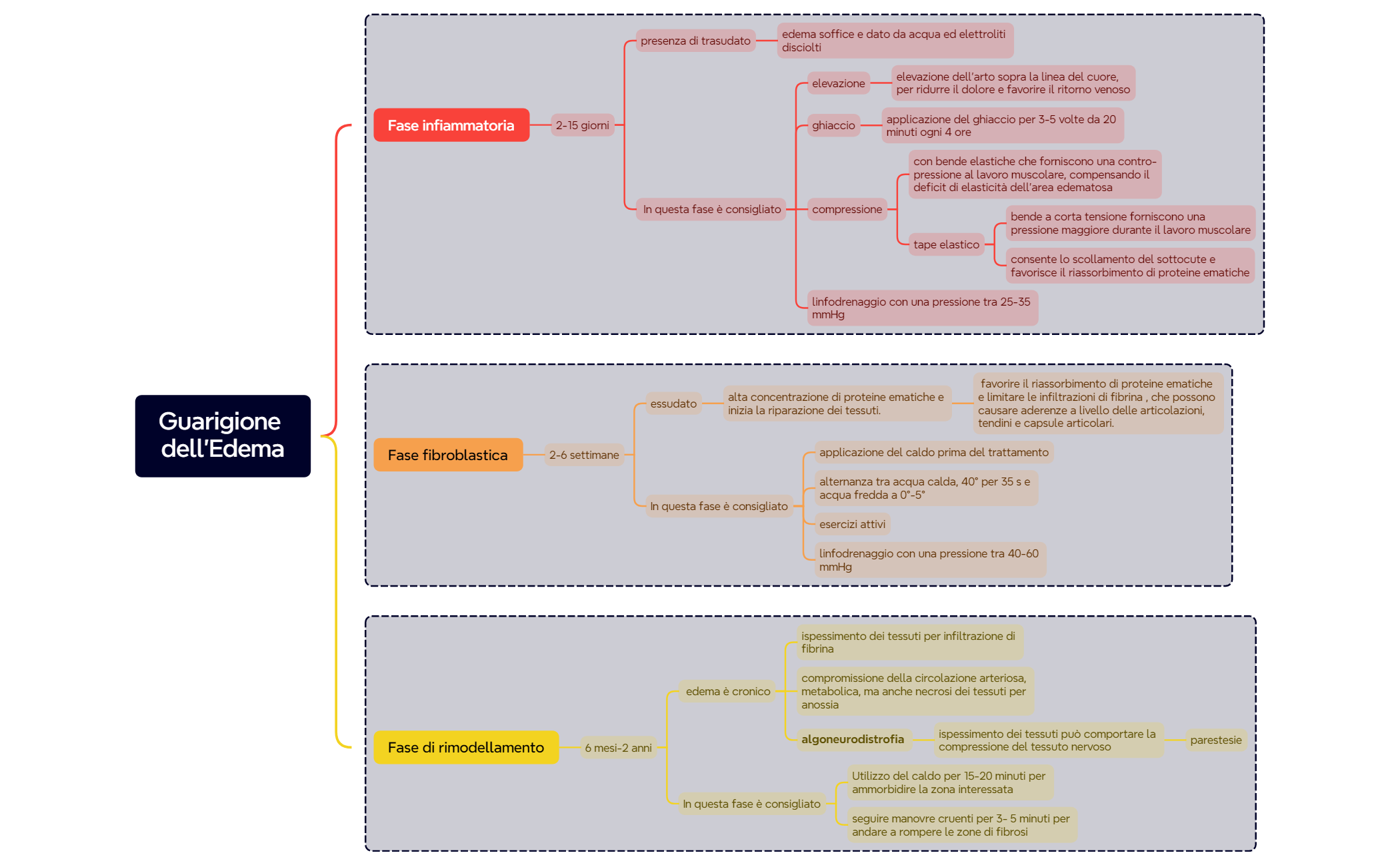 Guarigione dell’Edema preview 1