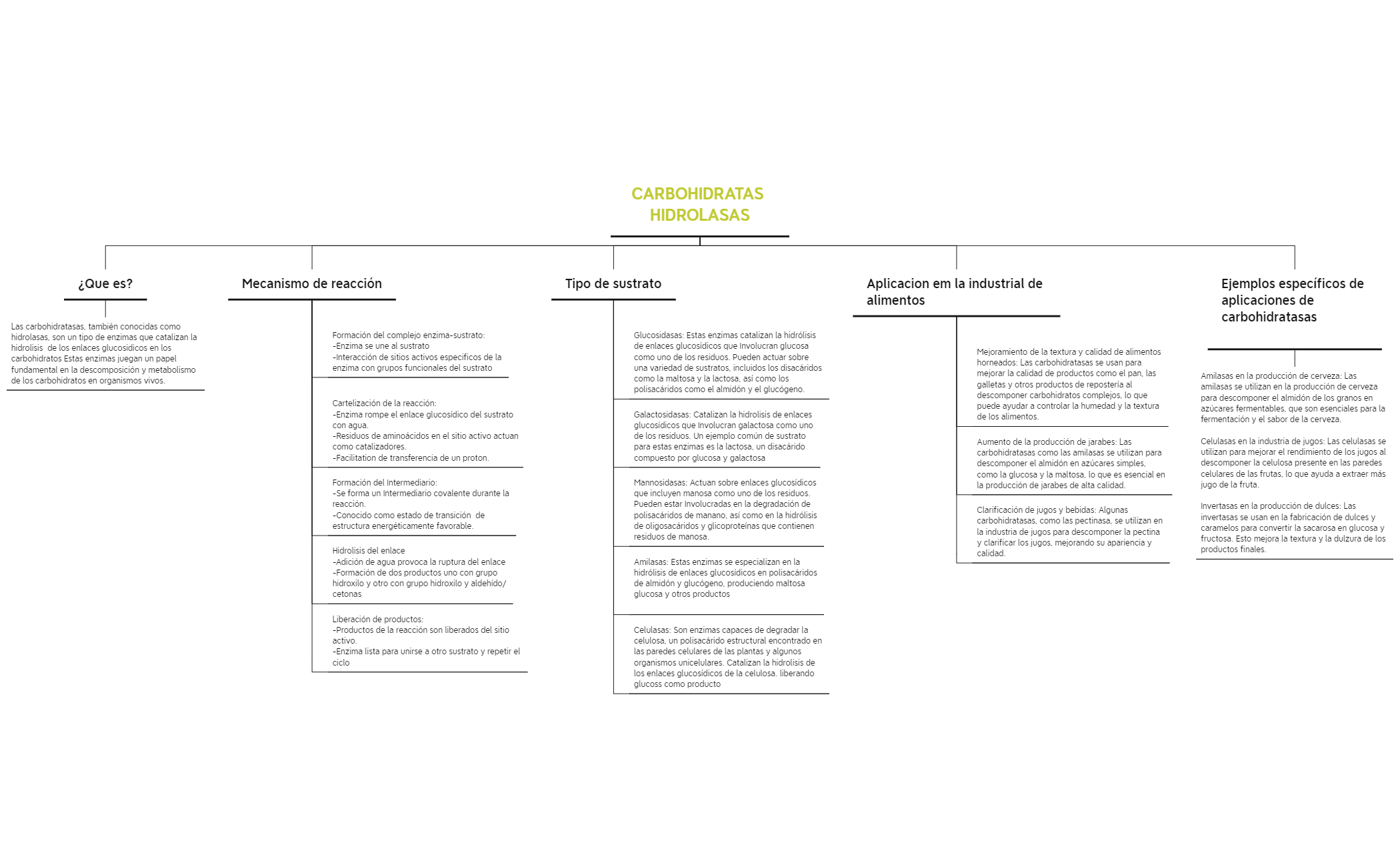 CARBOHIDRATAS HIDROLASAS preview 1