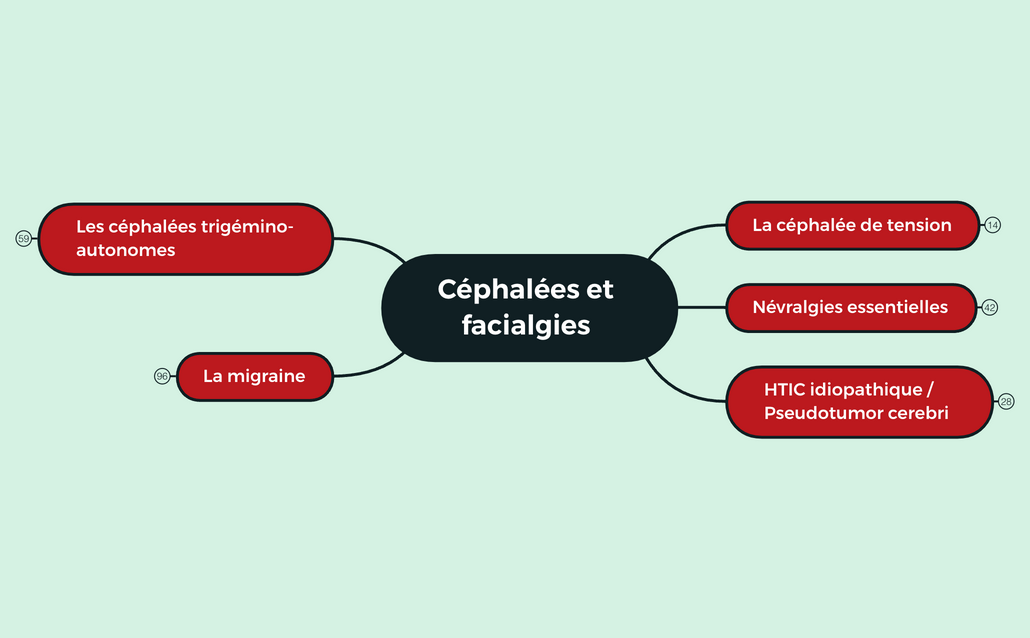 Céphalées et facialgies preview 1