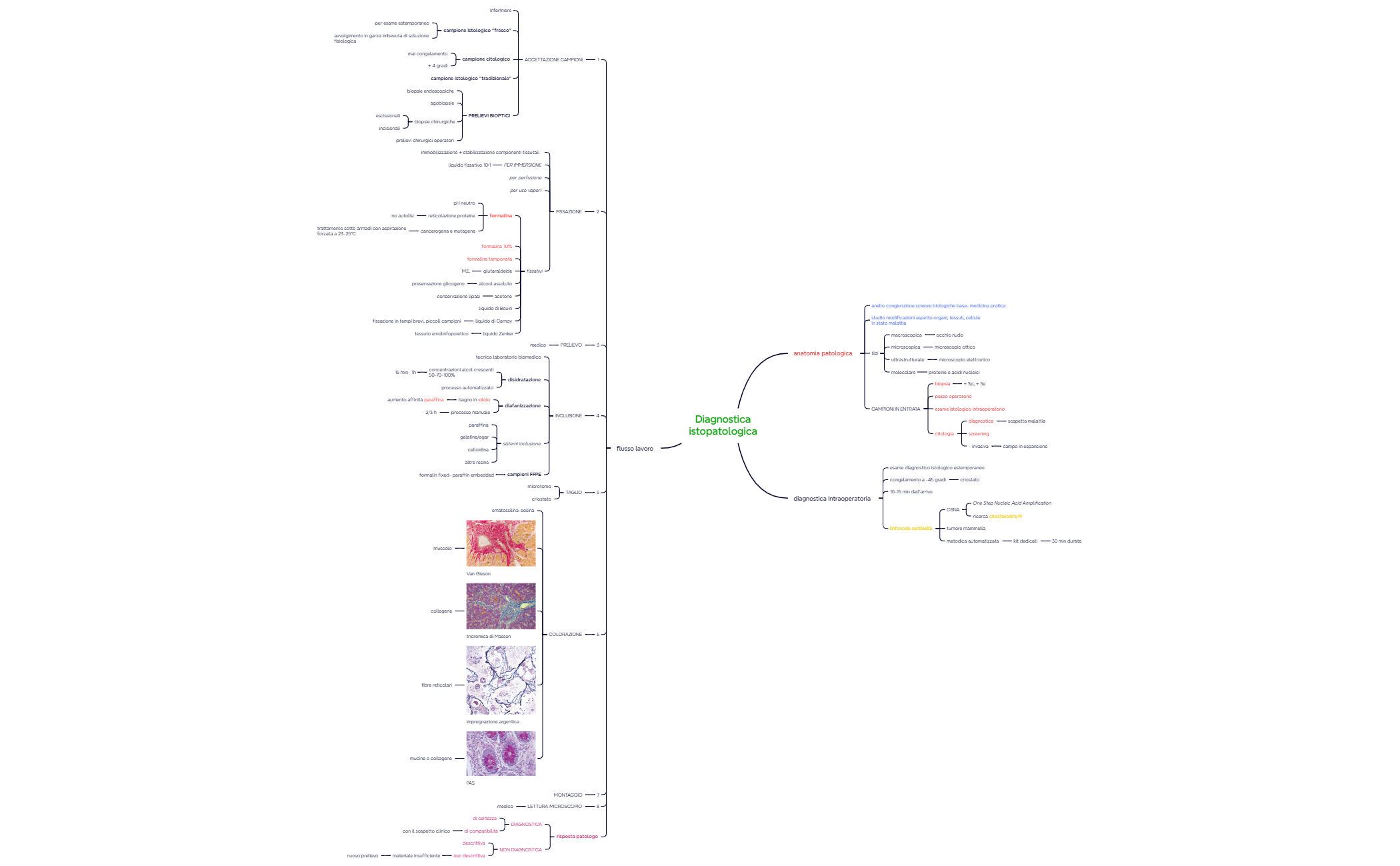 1. AP di laboratorio preview 1