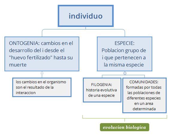 evolucion filogenetica y desarrollo ontogenetico preview 1