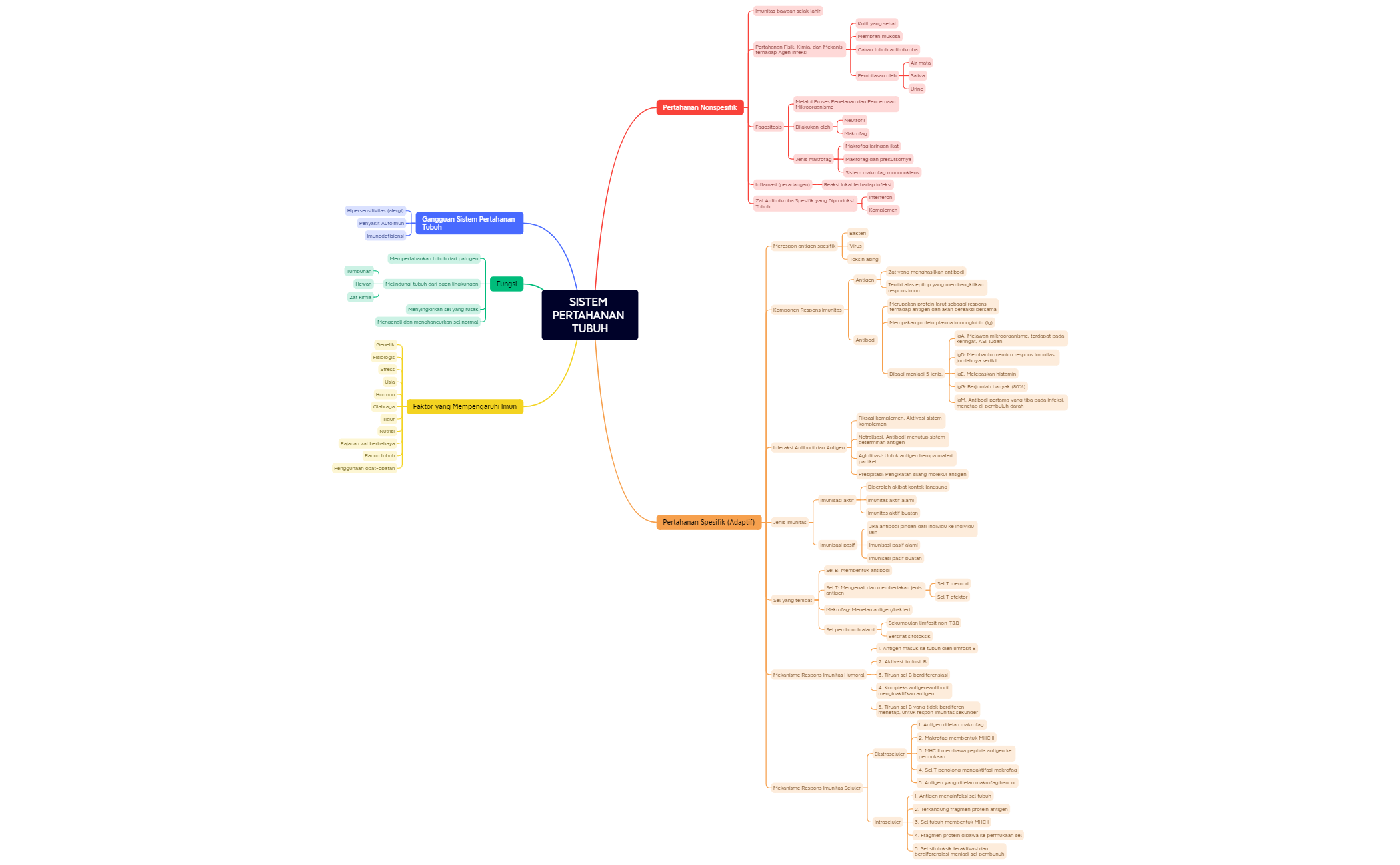 Map - XMind Template