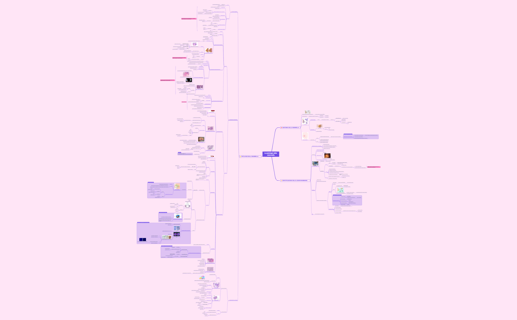 Mappa 1 preview 1