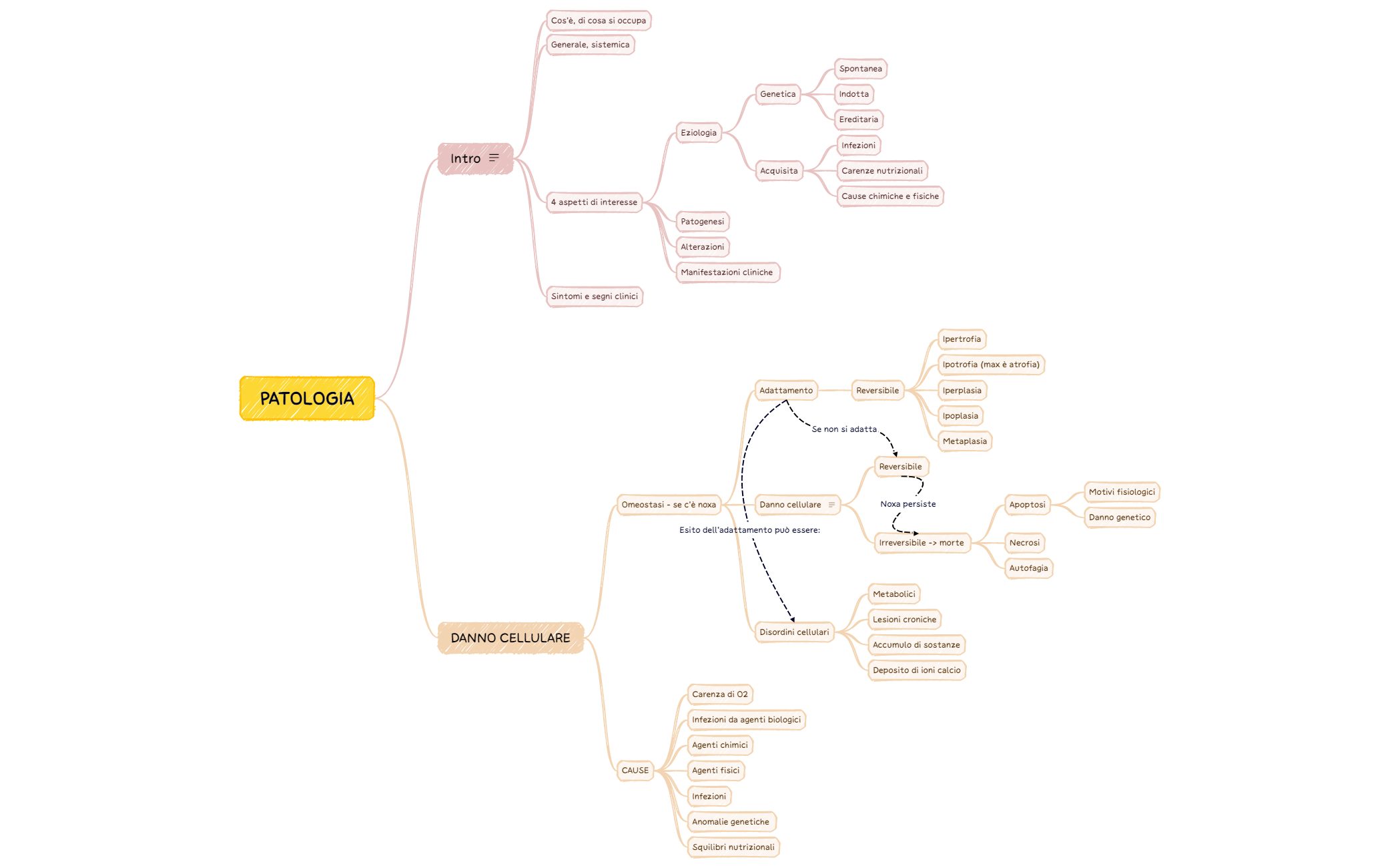 PATOLOGIA preview 1