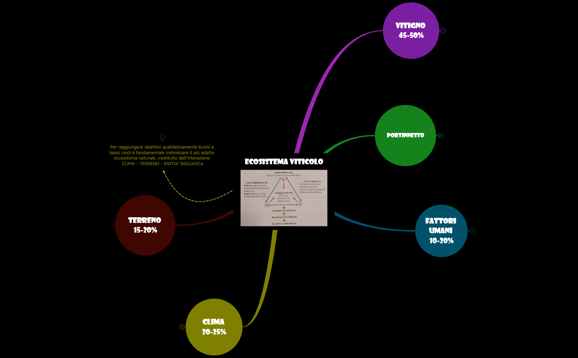 0_Ecosistema viticolo preview 1