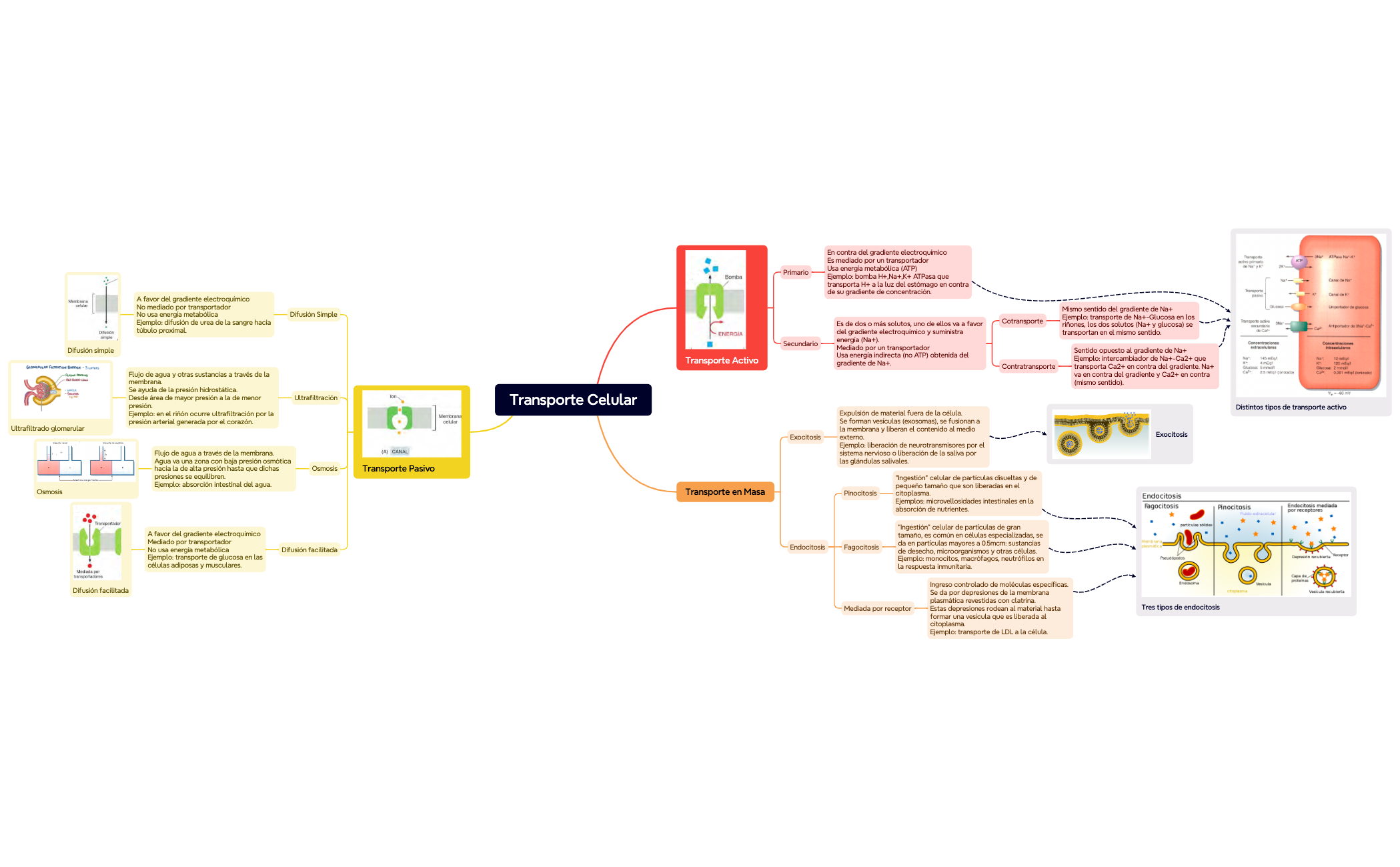 Mapa mental preview 1