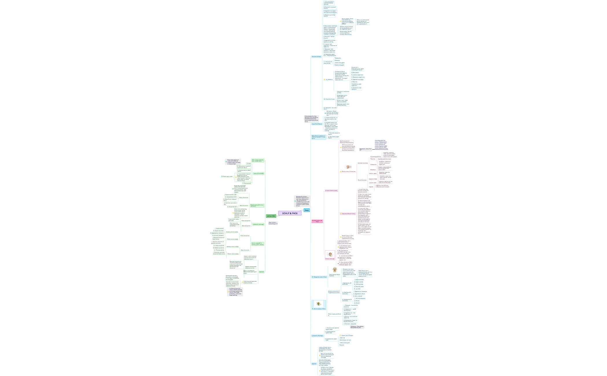 SCALP & FACE preview 1