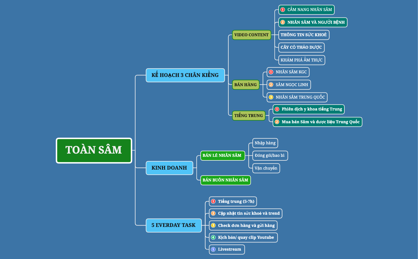 TOAN SAM XMIND PLAN.xmind preview 1