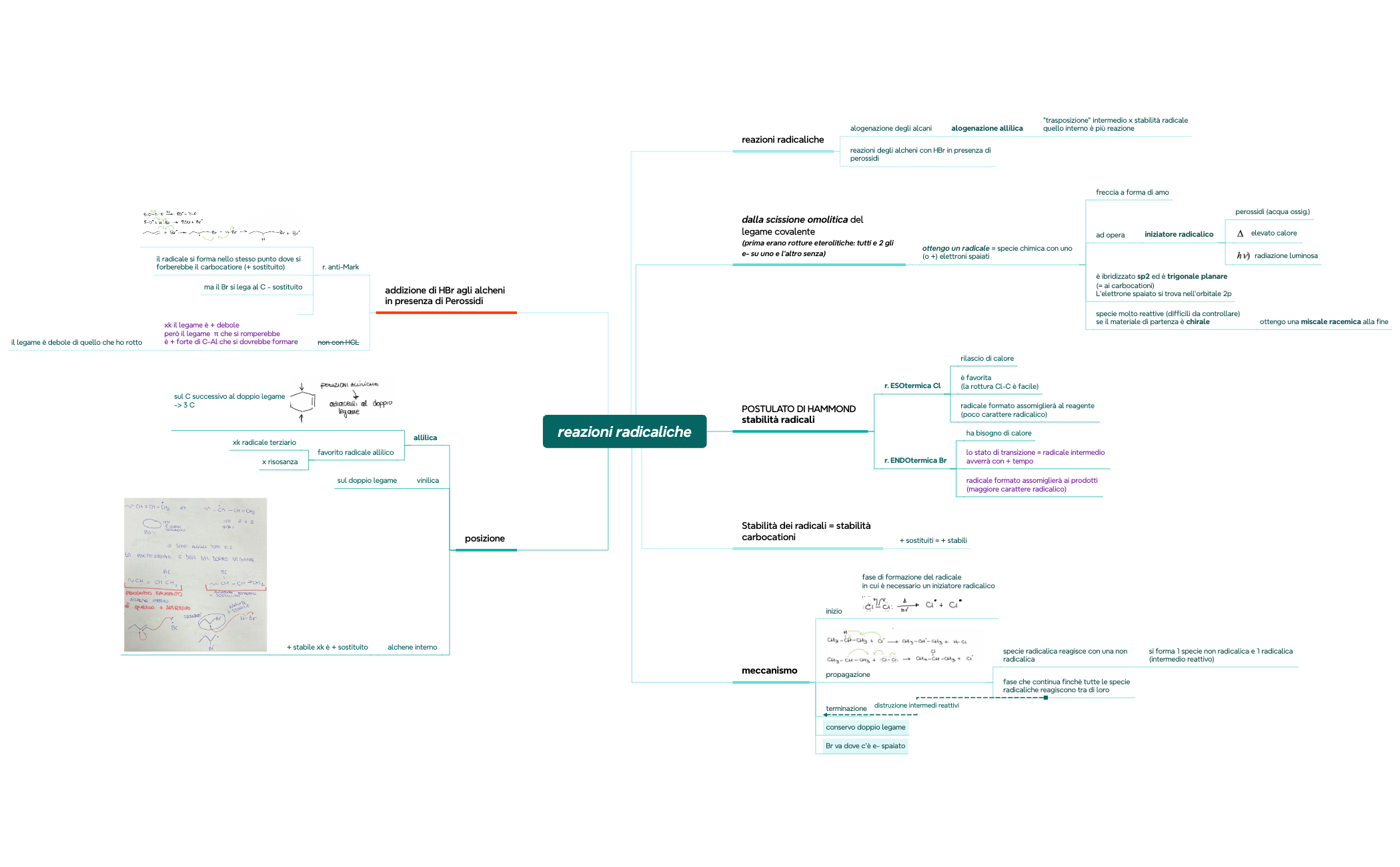 reazioni radicaliche preview 1