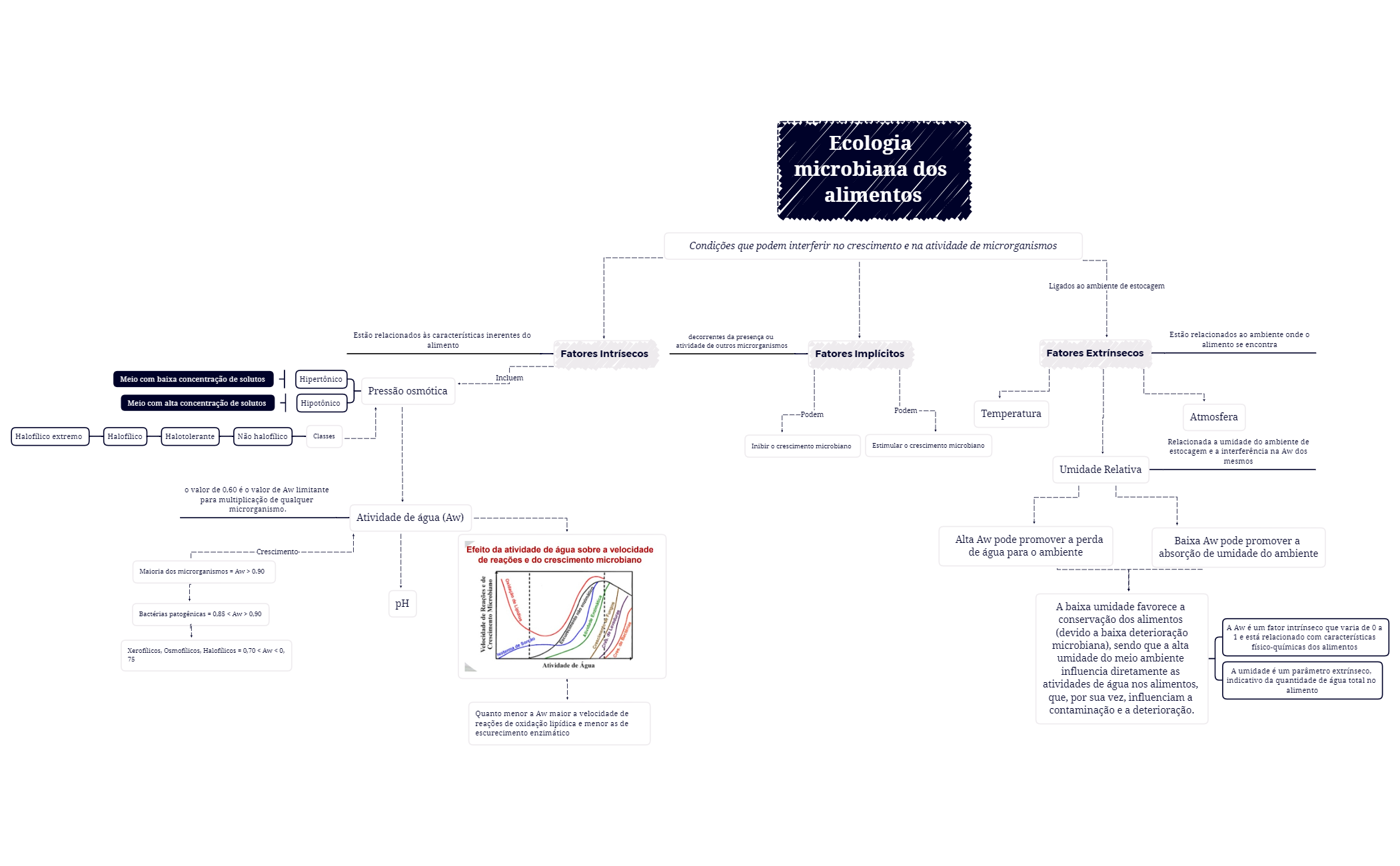 Ecologia microbiana dos alimentos - XMind Template