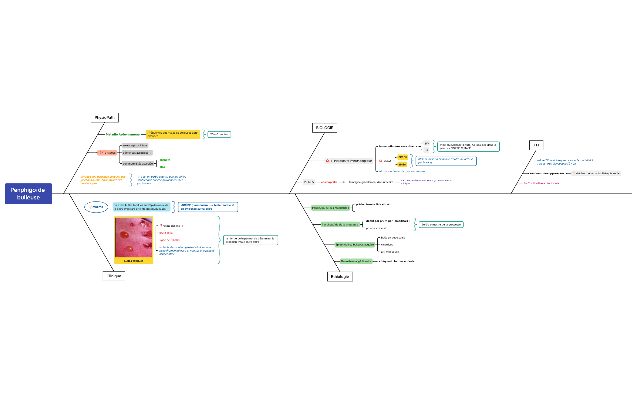 Penphigoïde bulleuse preview 1