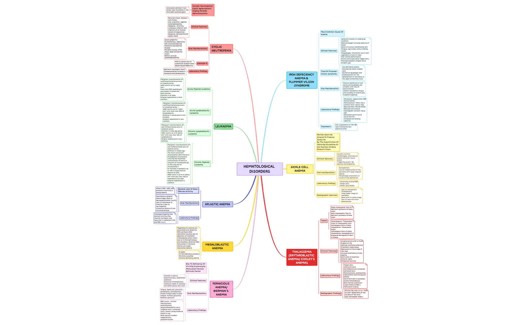 Template Mindmap.xmind.xmind preview 1