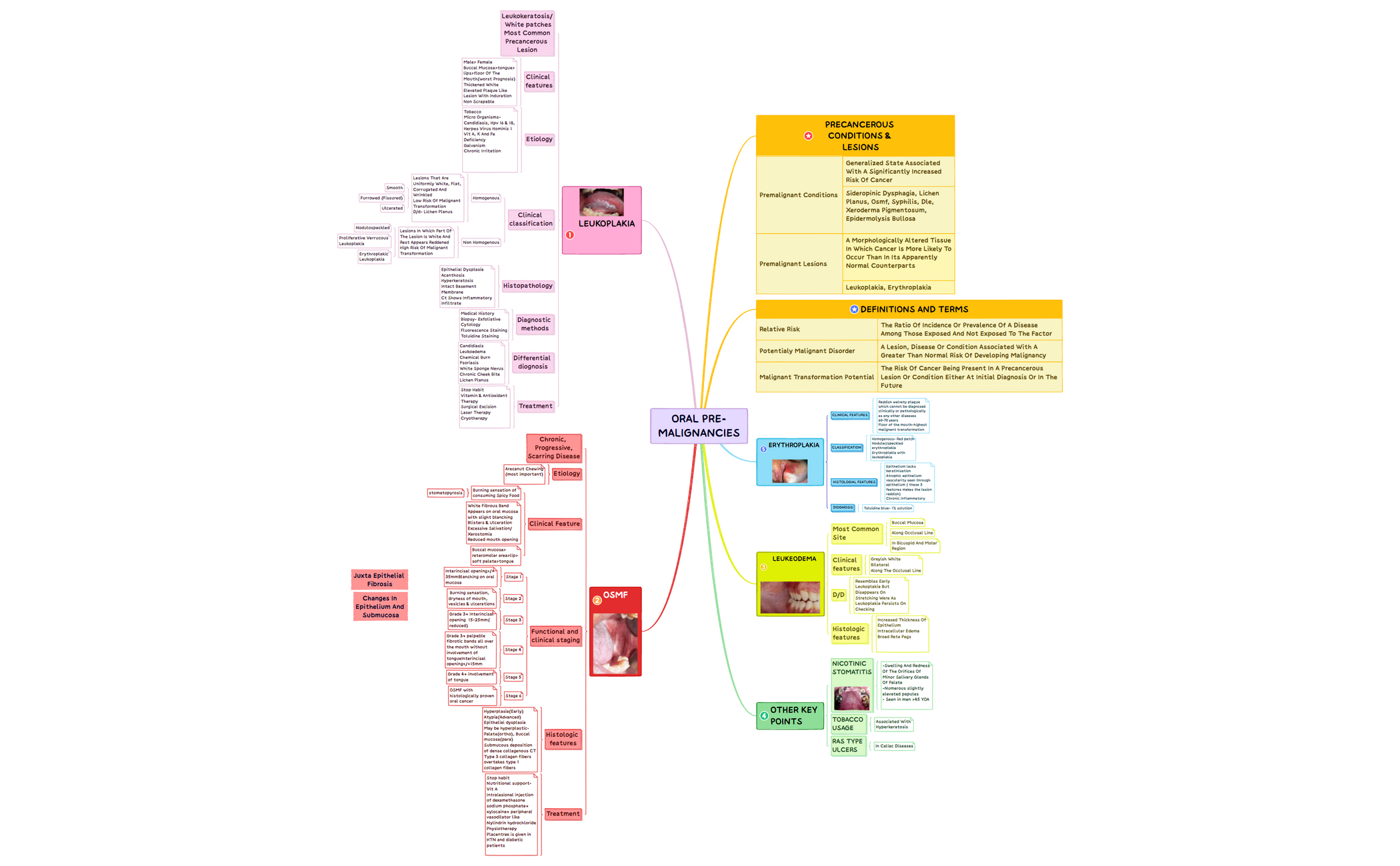oral_premalignanciesxmind-nmwskQ-jKSec7e-97944.xmind preview 1