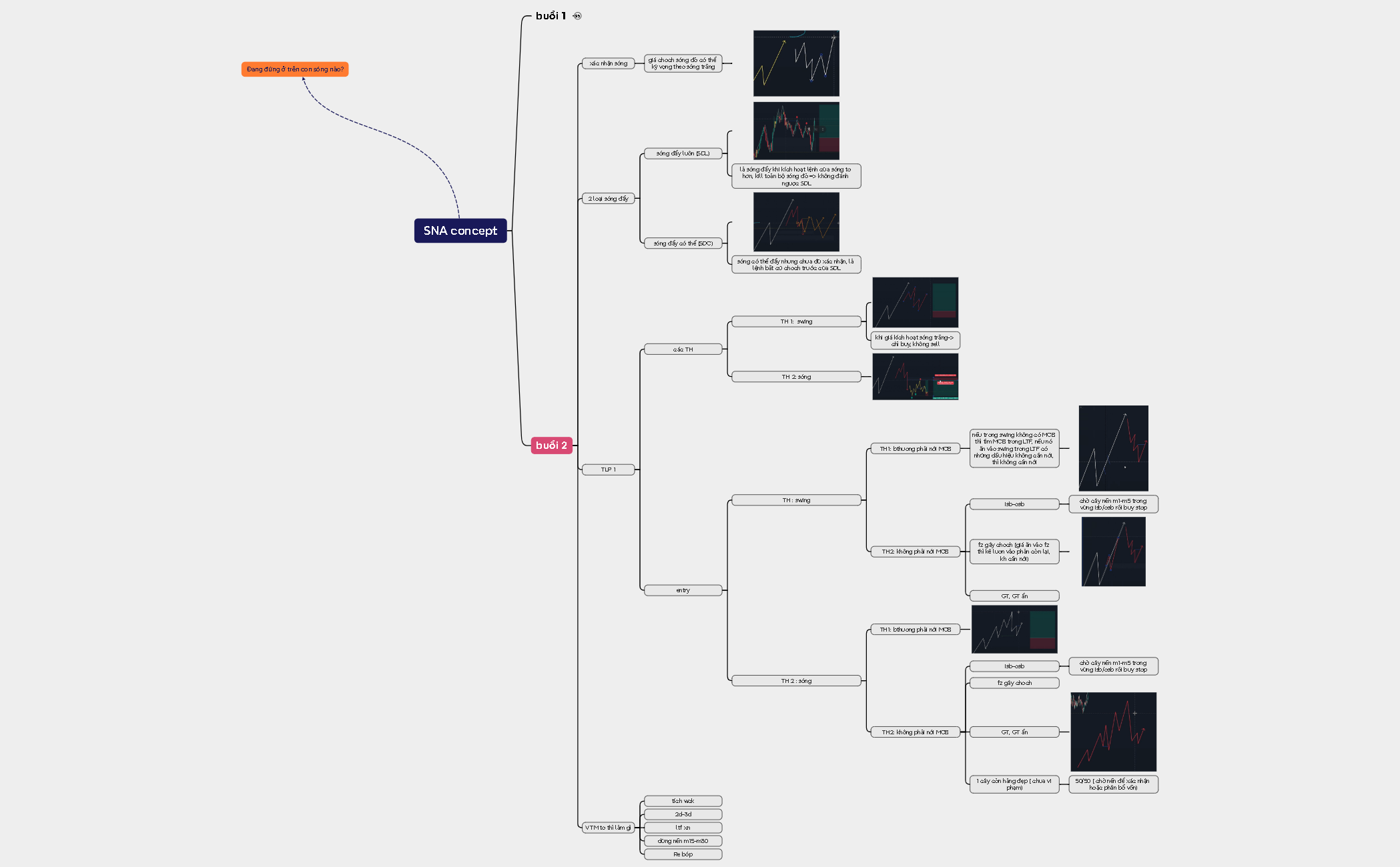 Mind Map - XMind Template