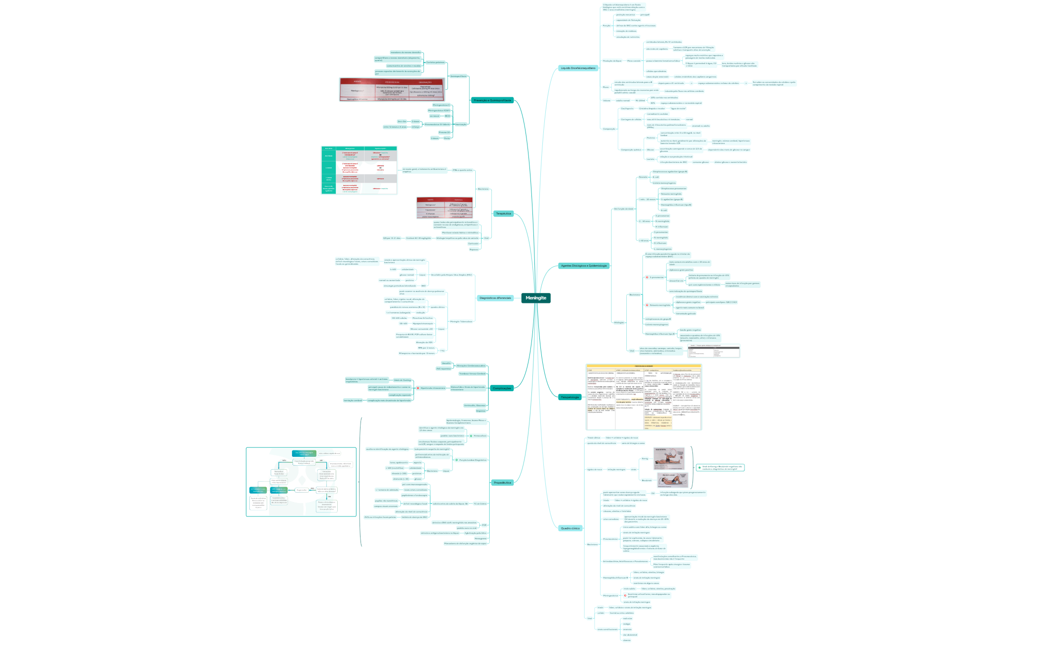 Mind Map - XMind Template