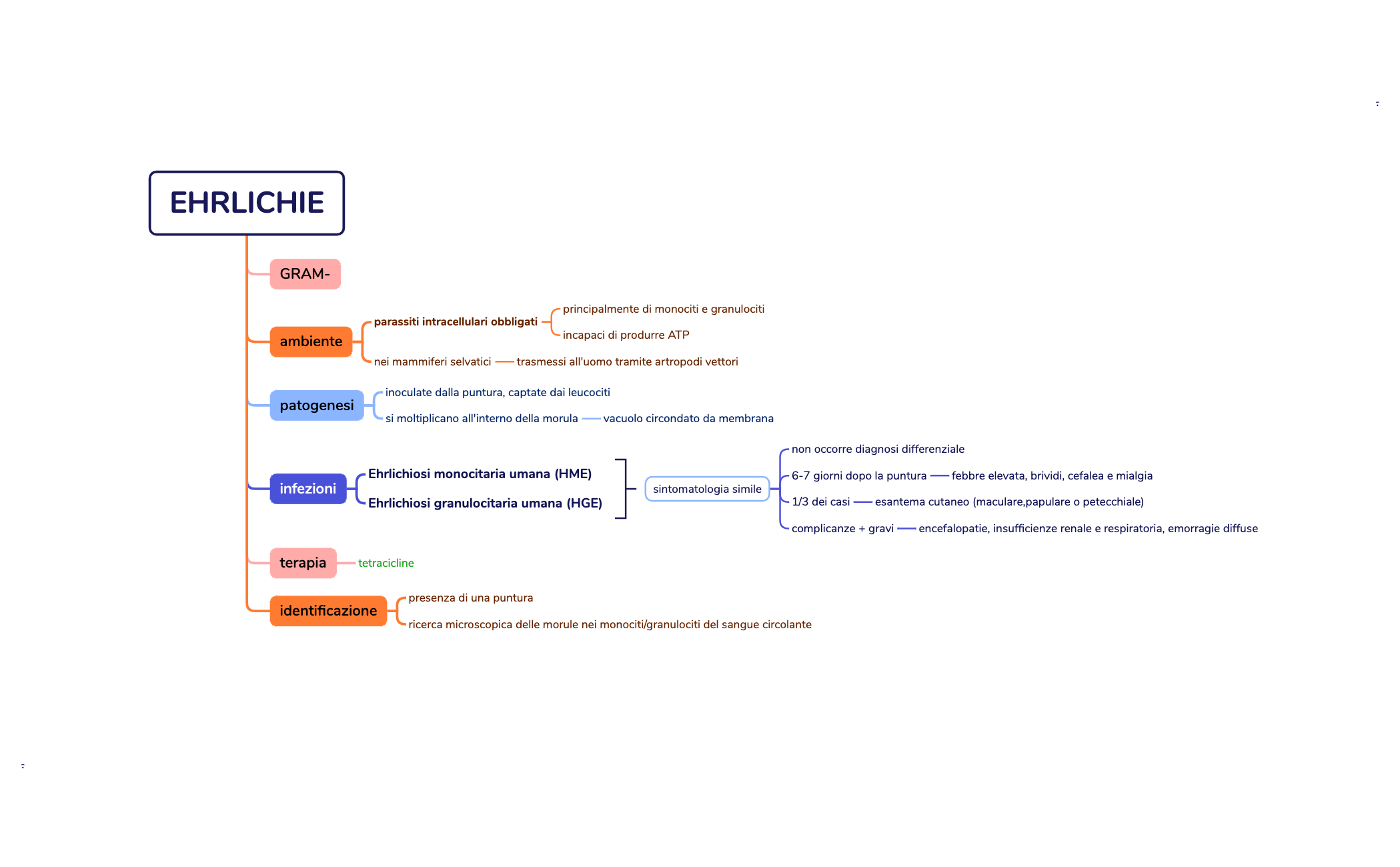 EHRLICHIE preview 1