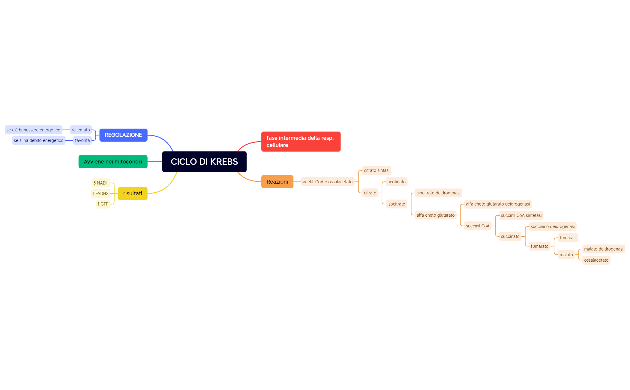 CICLO DI KREBS.xmind preview 1