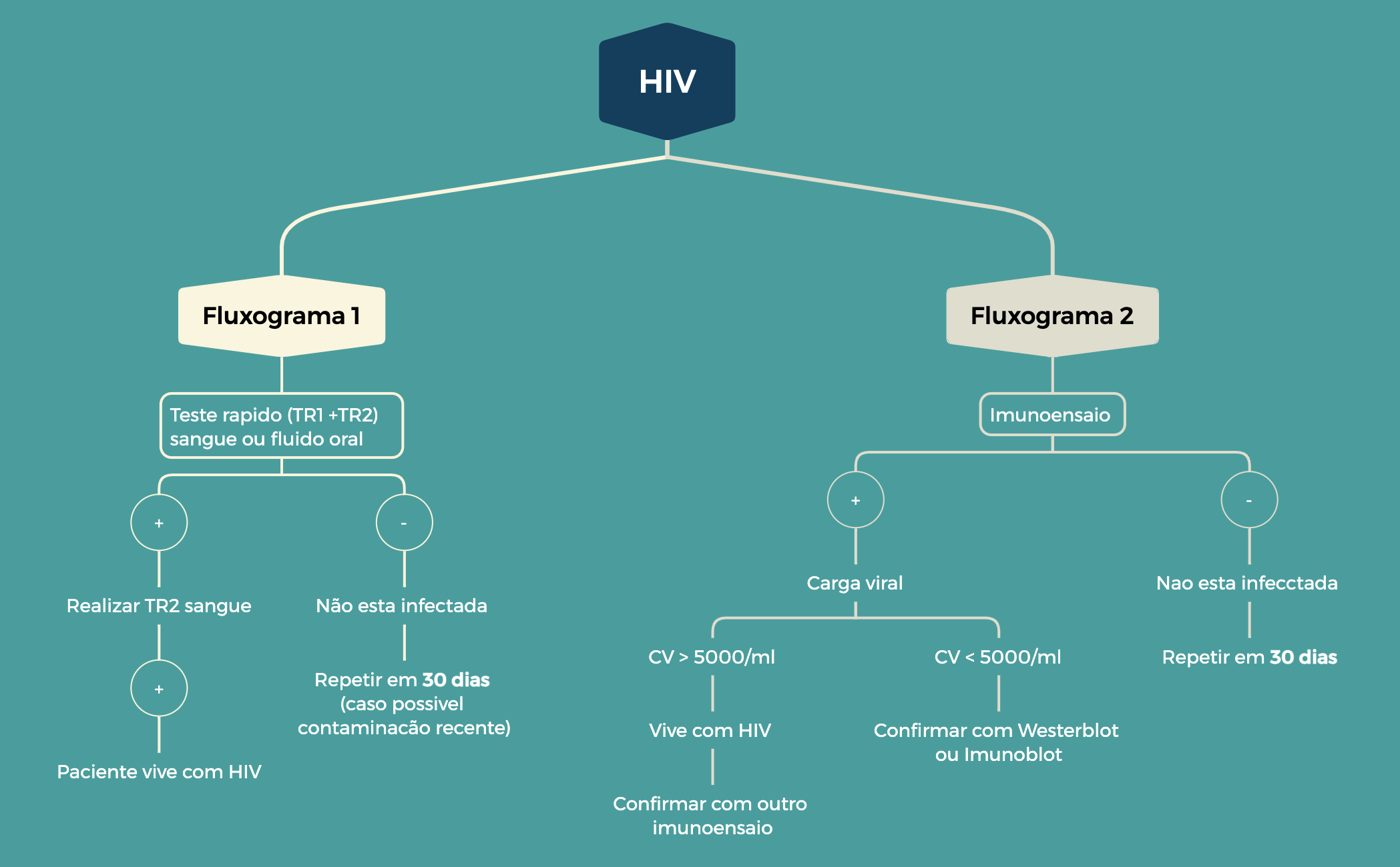 Organograma preview 1