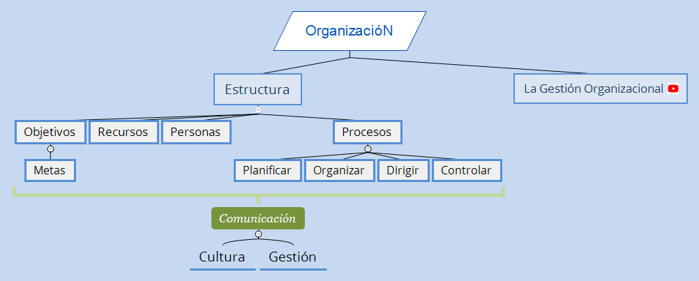 Organización preview 1