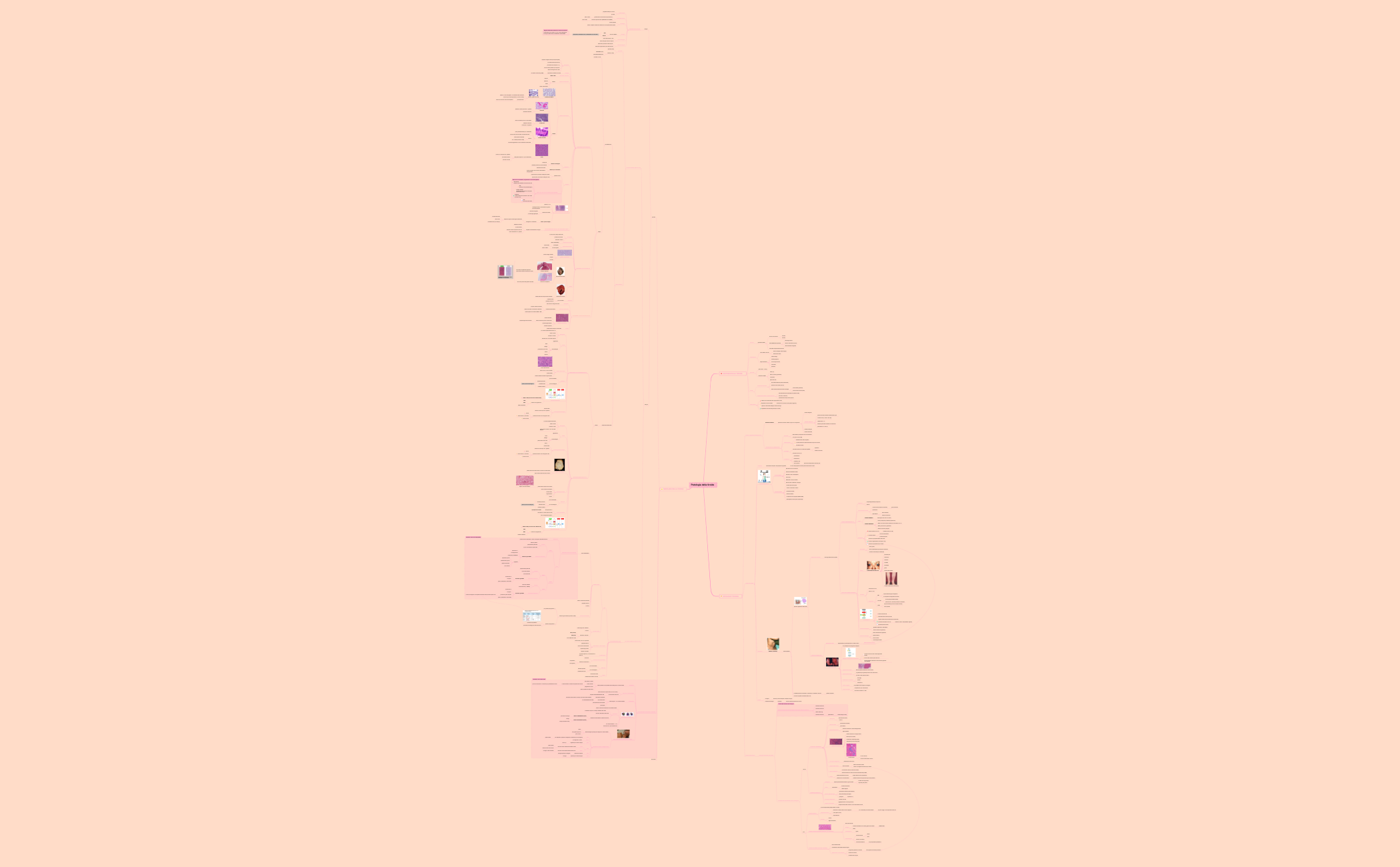 Mappa 1 preview 1