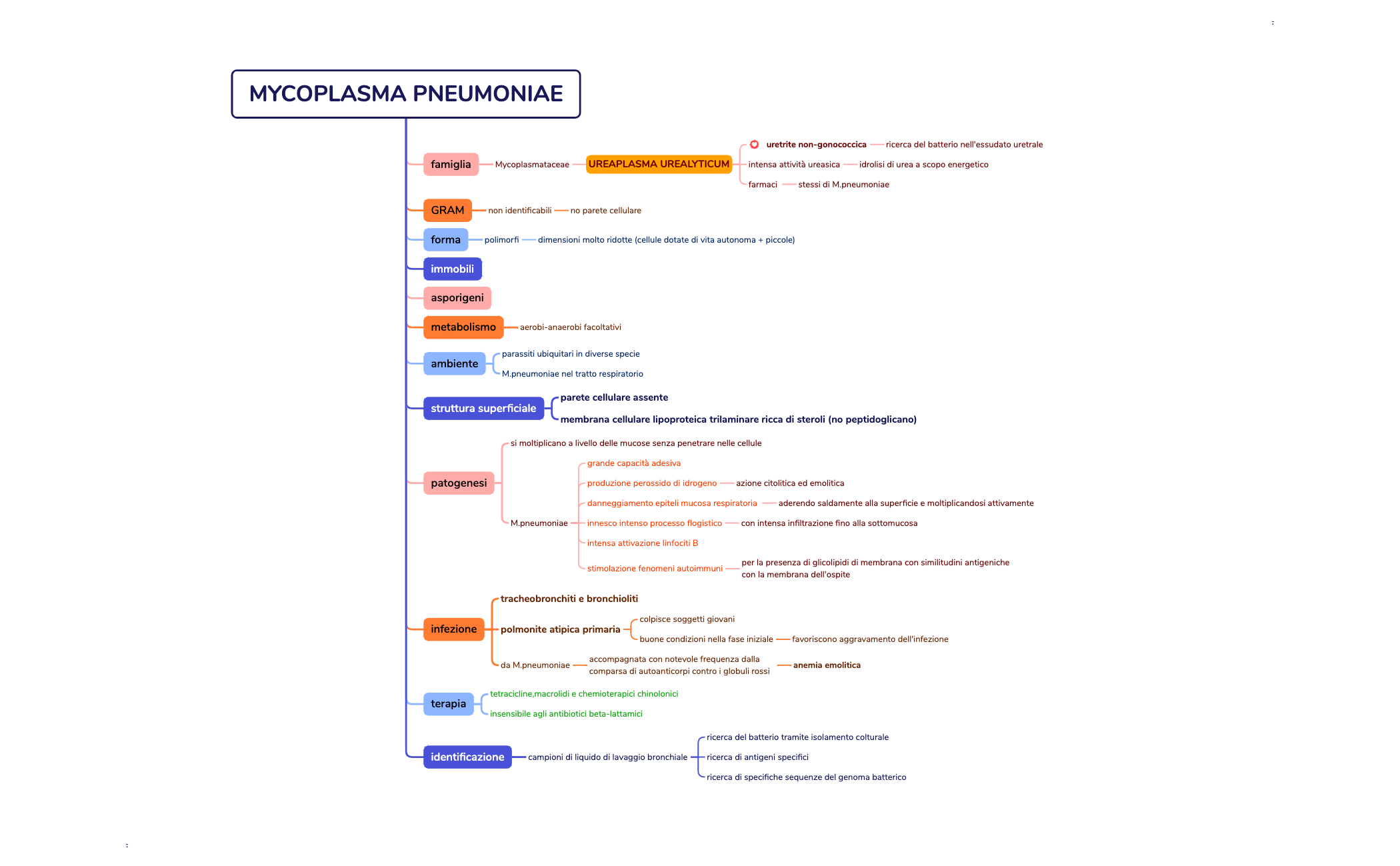 MYCOPLASMA PNEUMONIAE preview 1