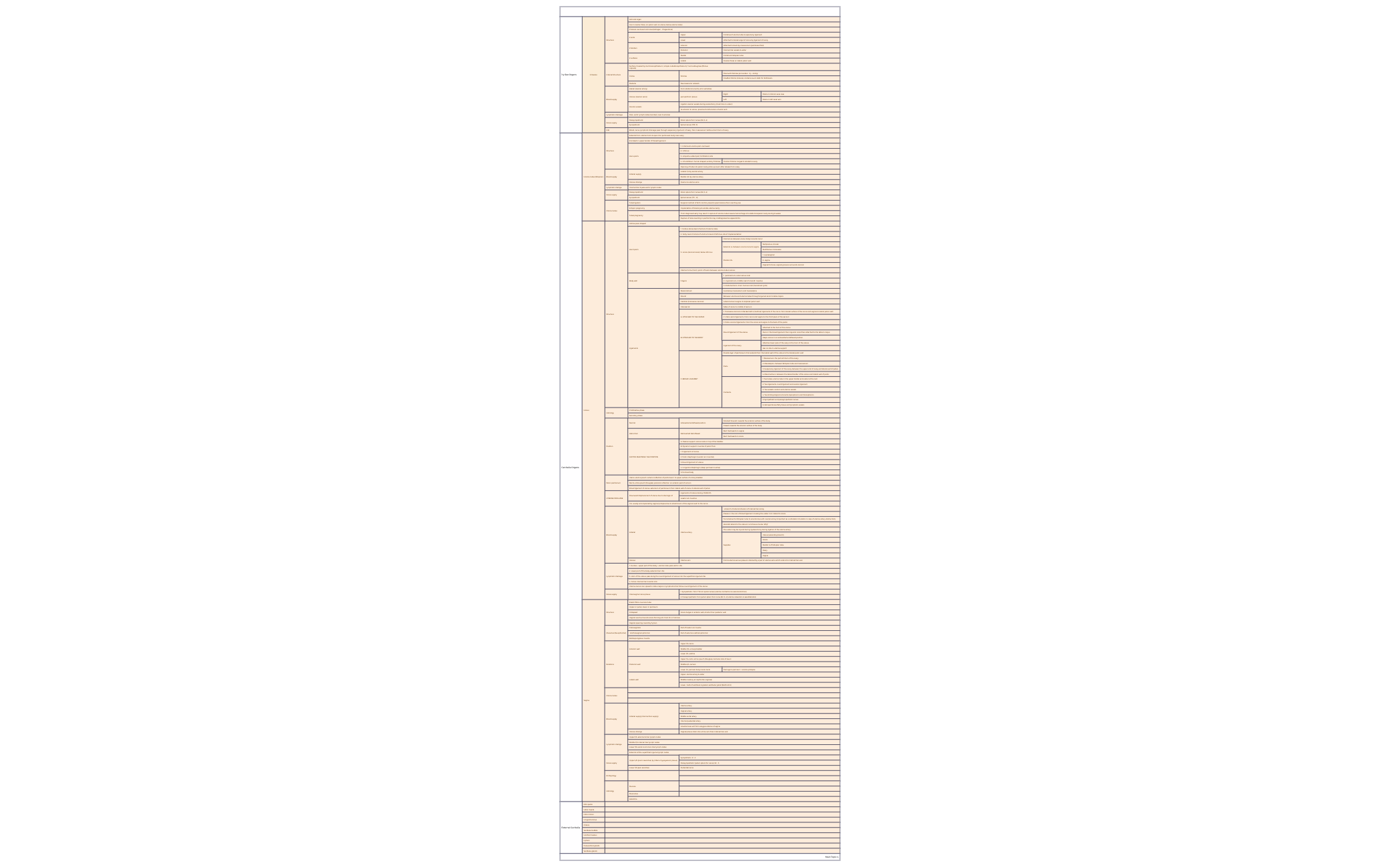 BlankMap 2 - XMind Template