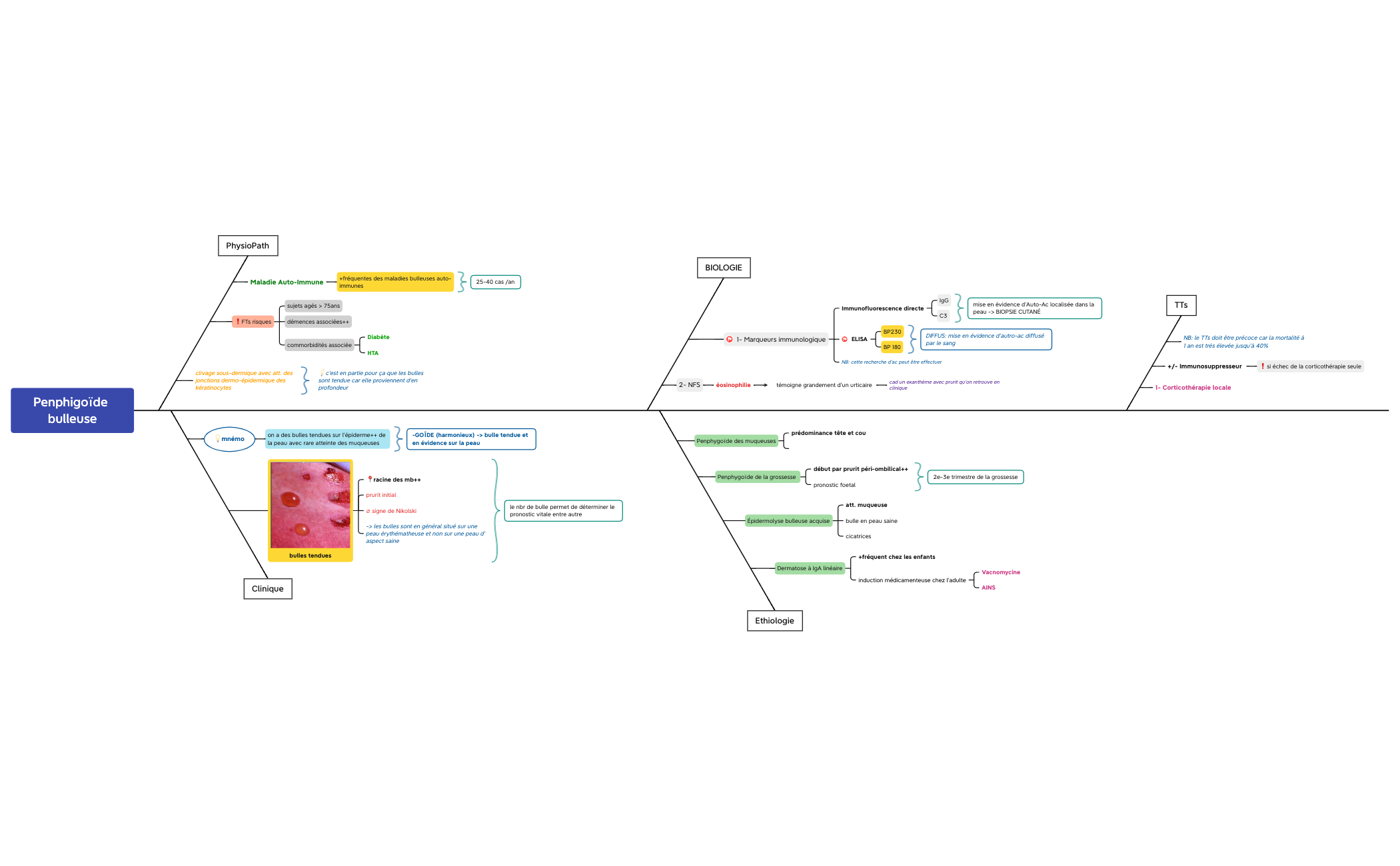 Penphigoïde bulleuse preview 1