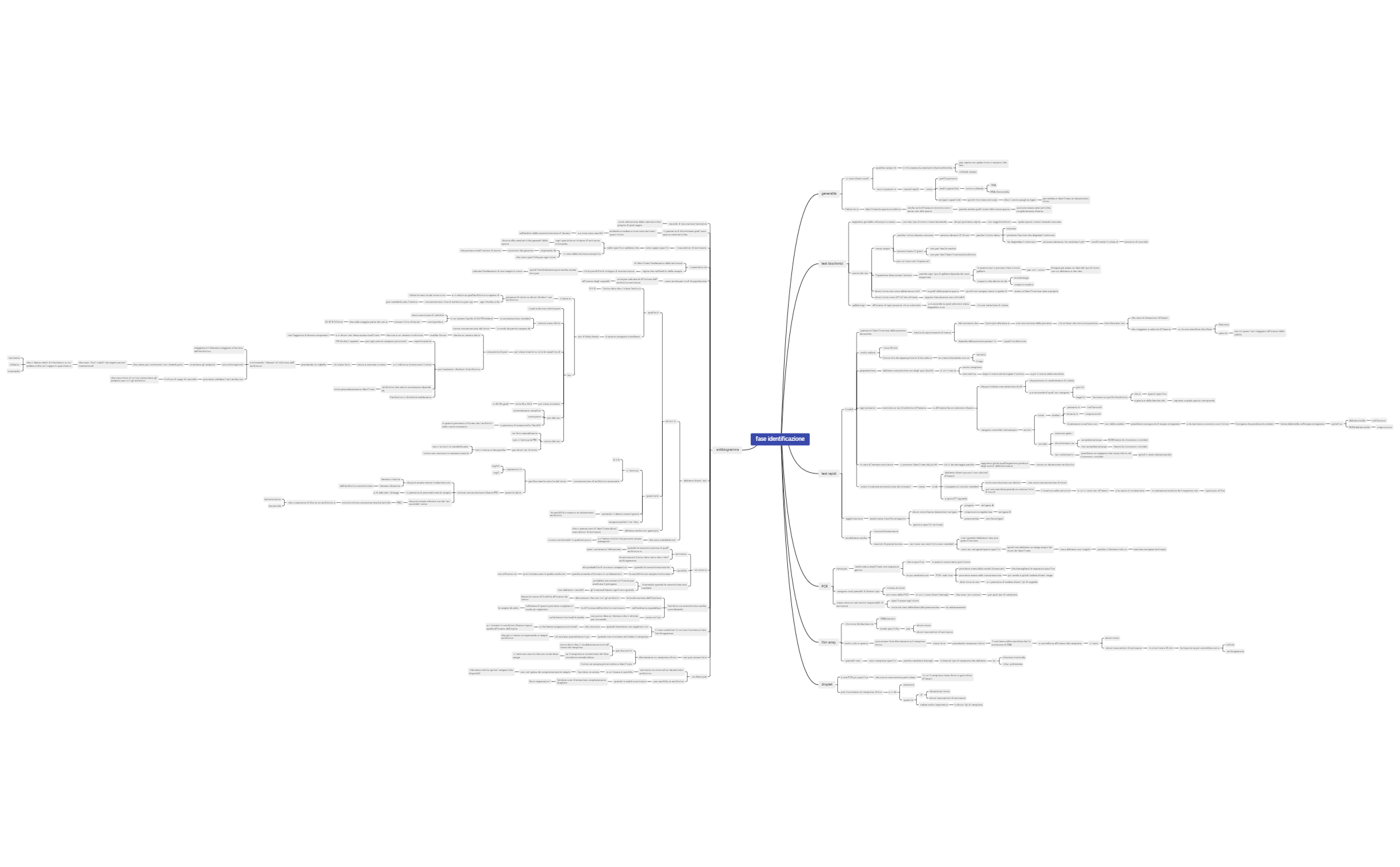 fase identificazione preview 1