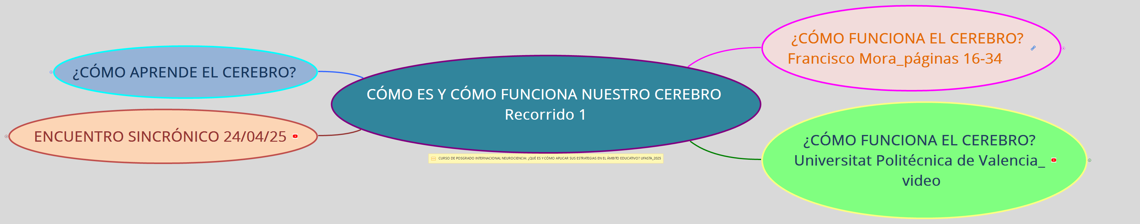 CÓMO ES Y CÓMO FUNCIONA NUESTRO CEREBRO Recorrido 1 preview 1