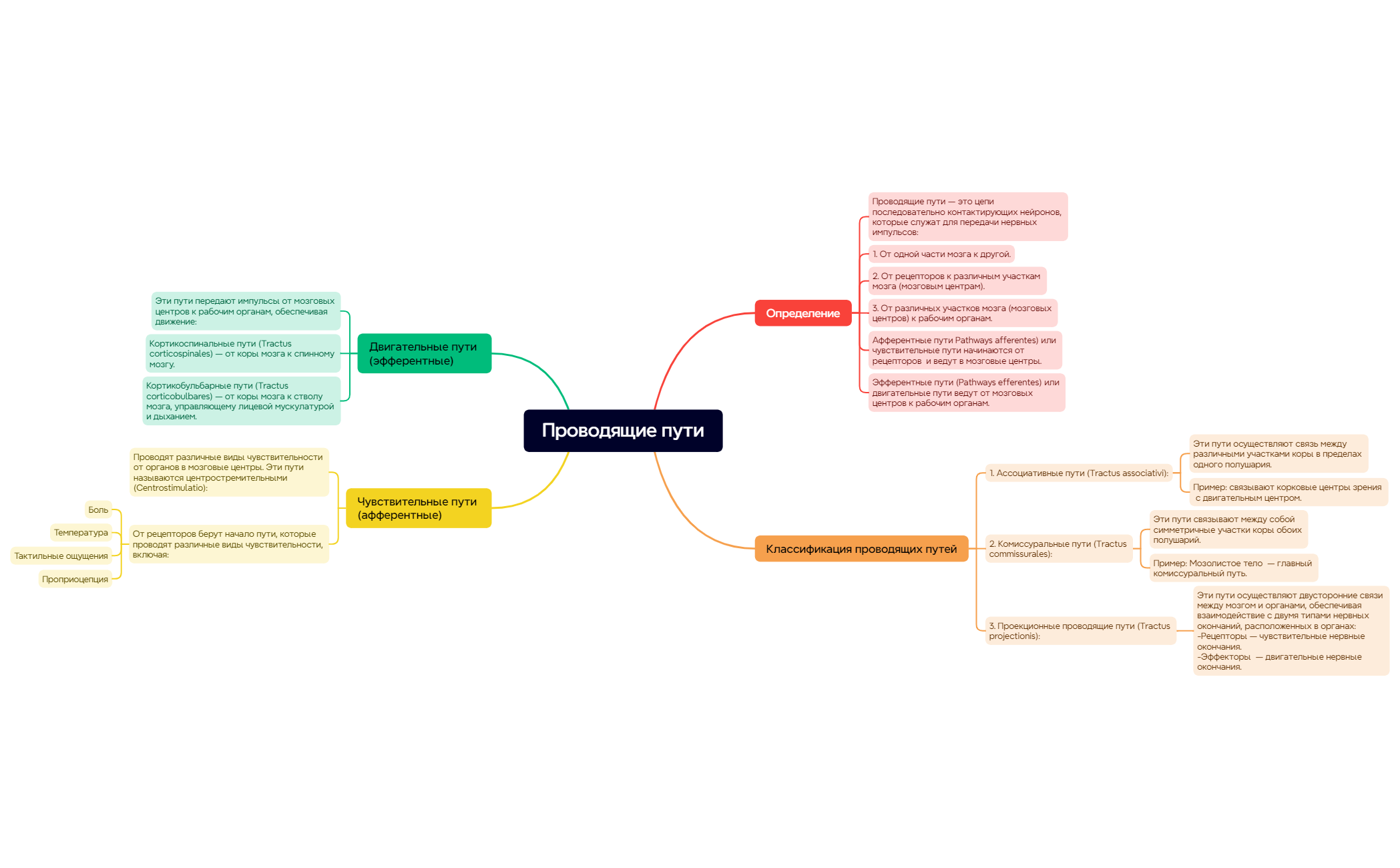 Классификация проводящих путей preview 1