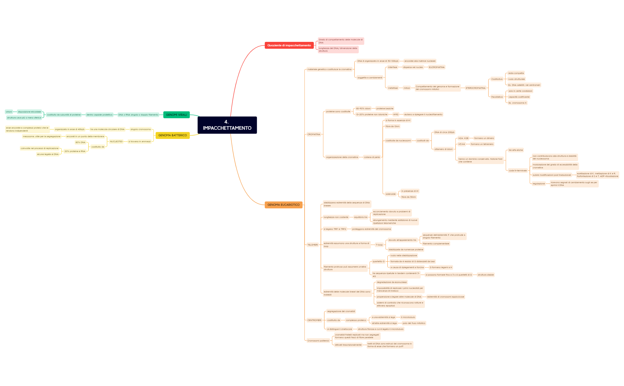Senza titolo.xmind - XMind Template