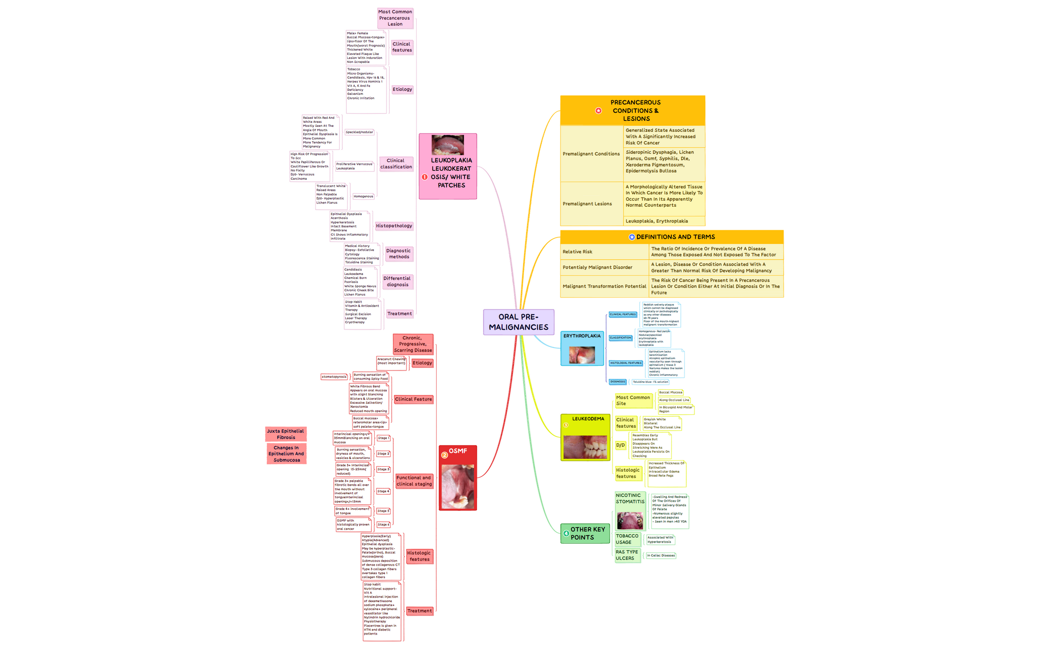 oral pre-malignancies.xmind preview 1