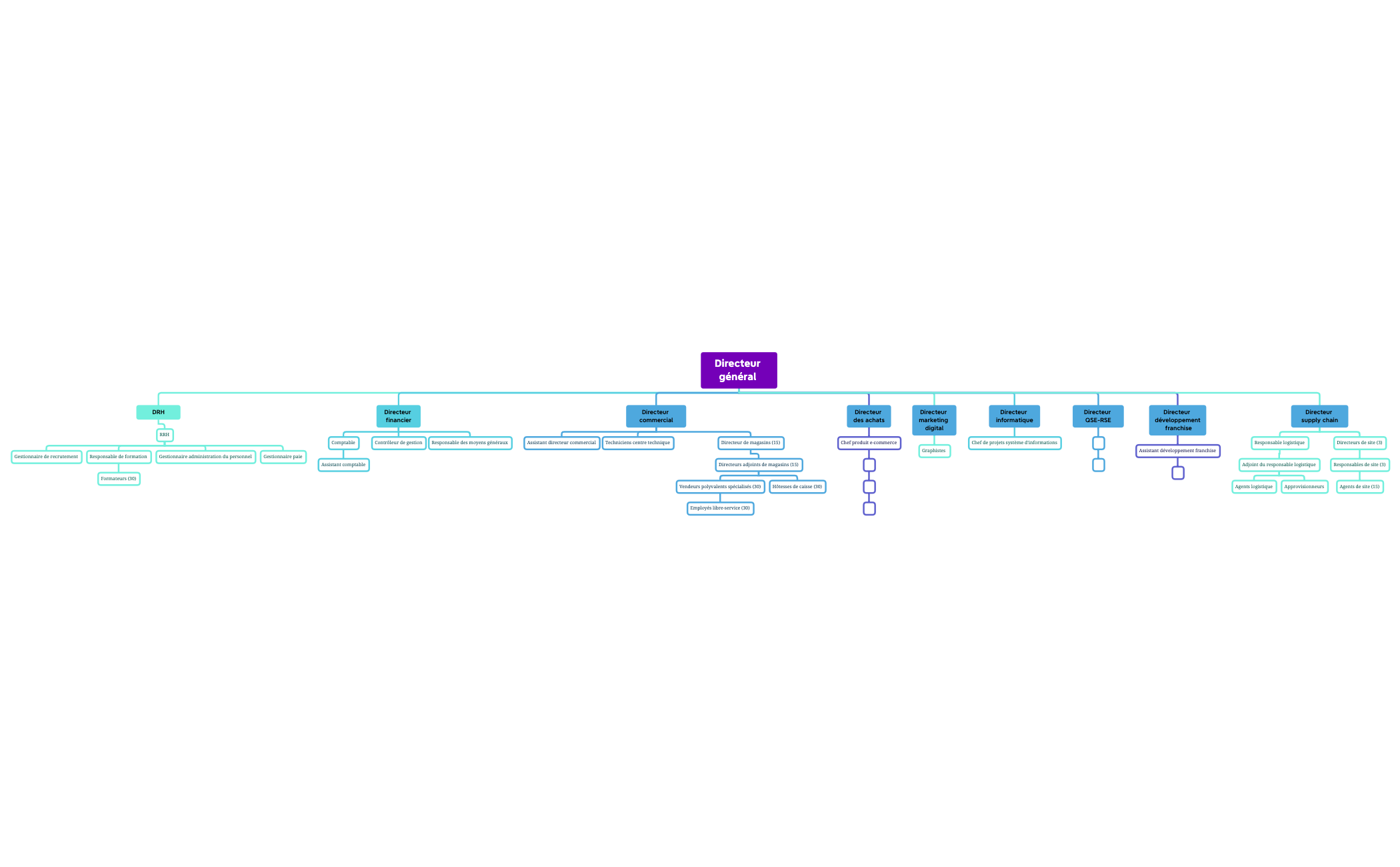 Organigramme V2 - XMind Template