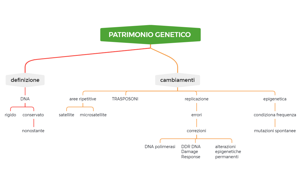 3. riparazione DNA-230105124653 preview 1