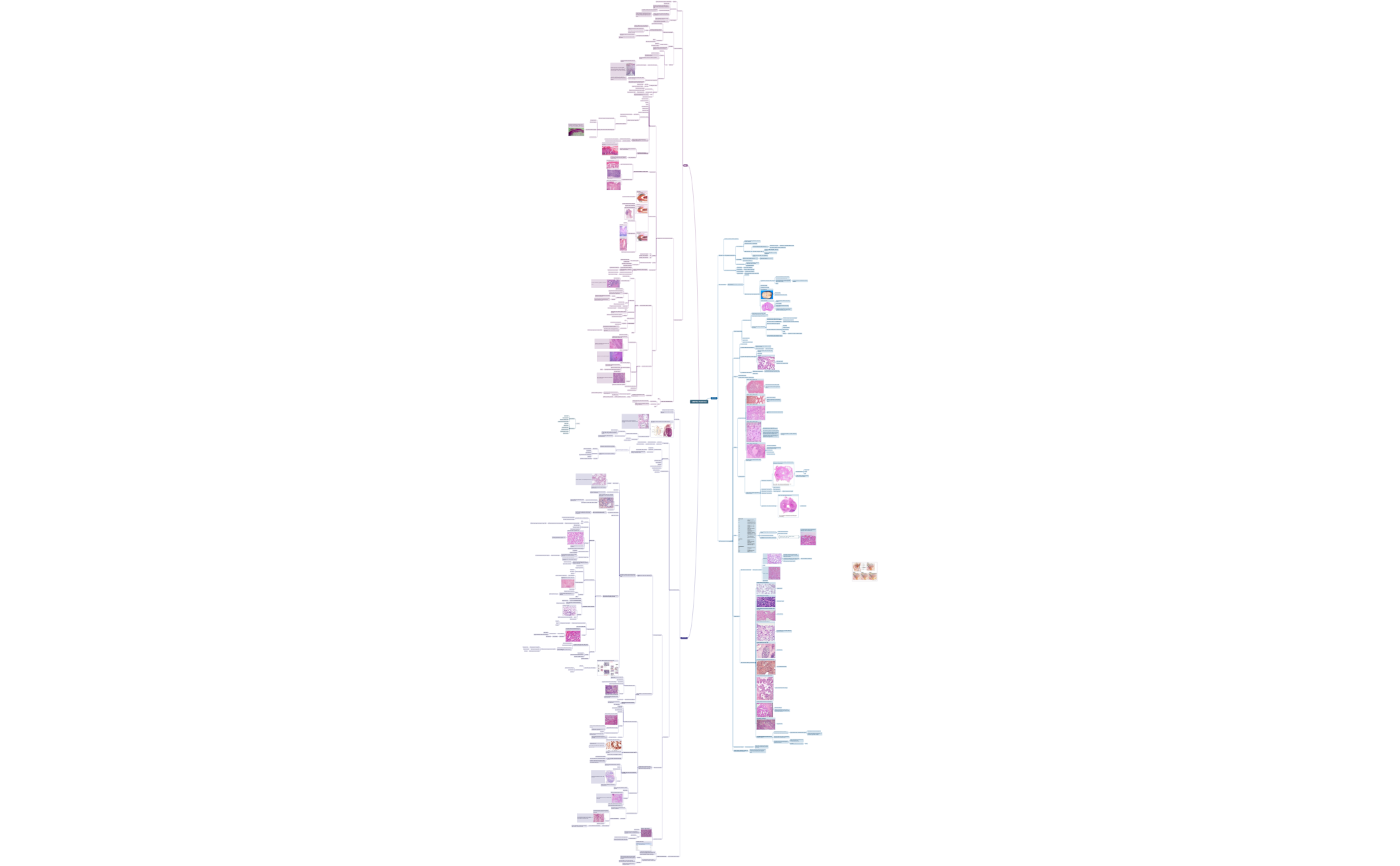 Mappa mentale preview 1