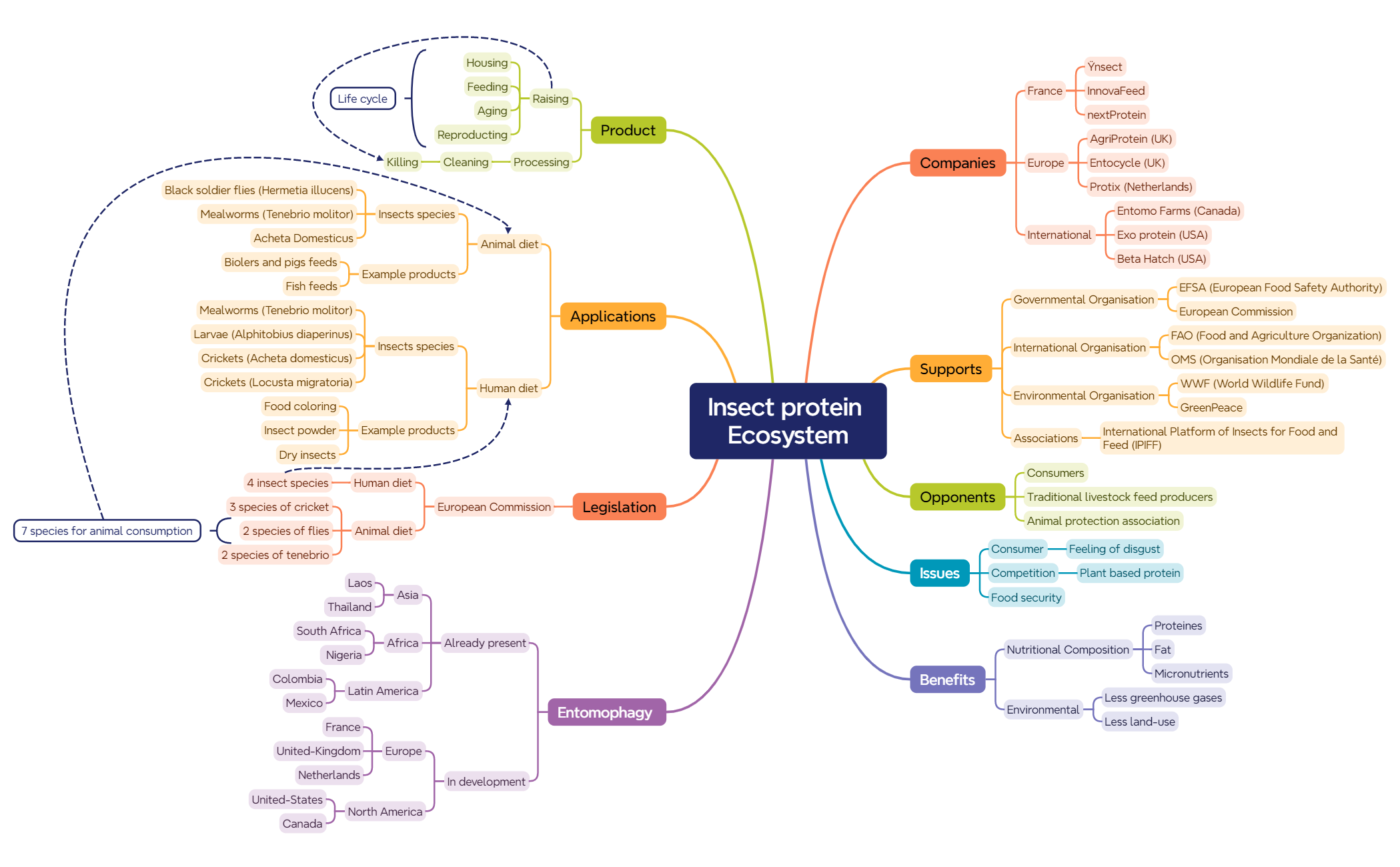 Insect Ecosystem Graph Insect protein Ecosystem - XMind Template