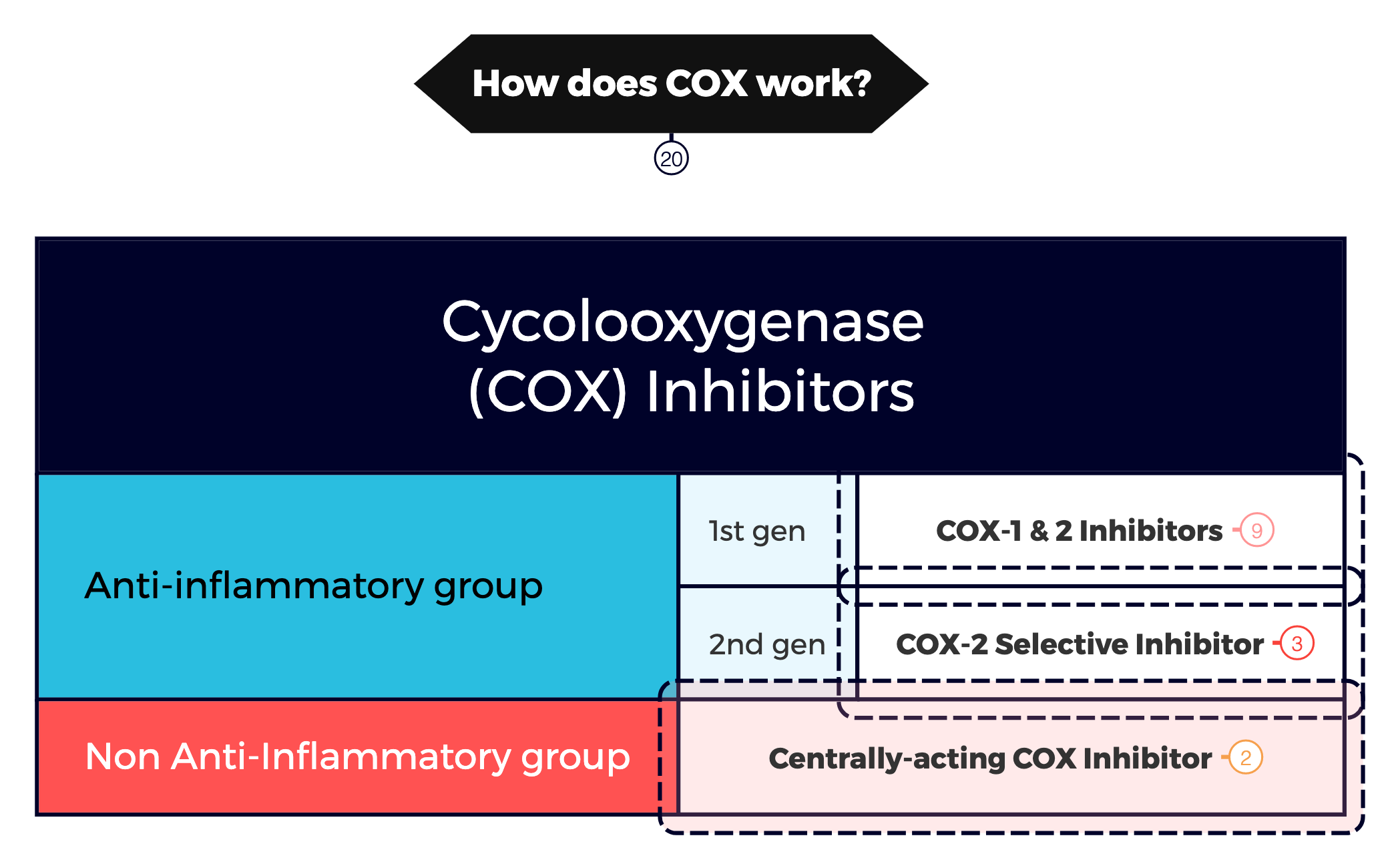 Cycolooxygenase (COX) Inhibitors preview 1