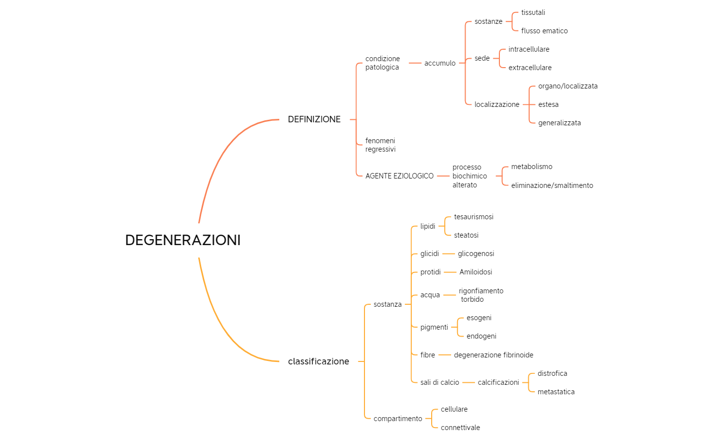 z13. DEGENERAZIONI steatosi-230617155145 preview 1