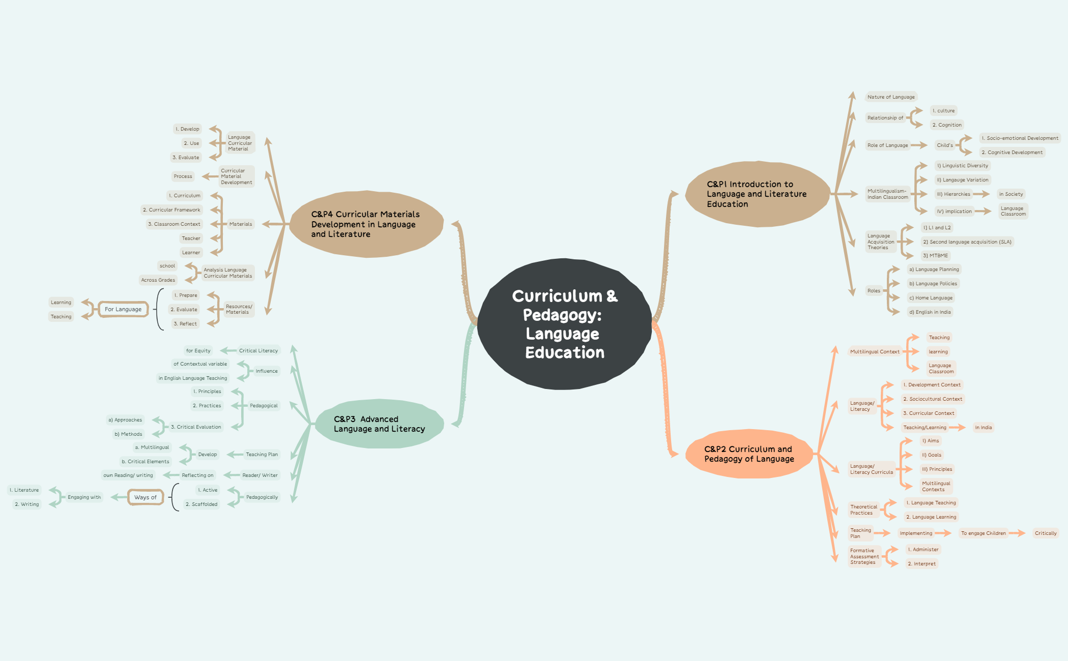 Curriculum & Pedagogy Language Education preview 1