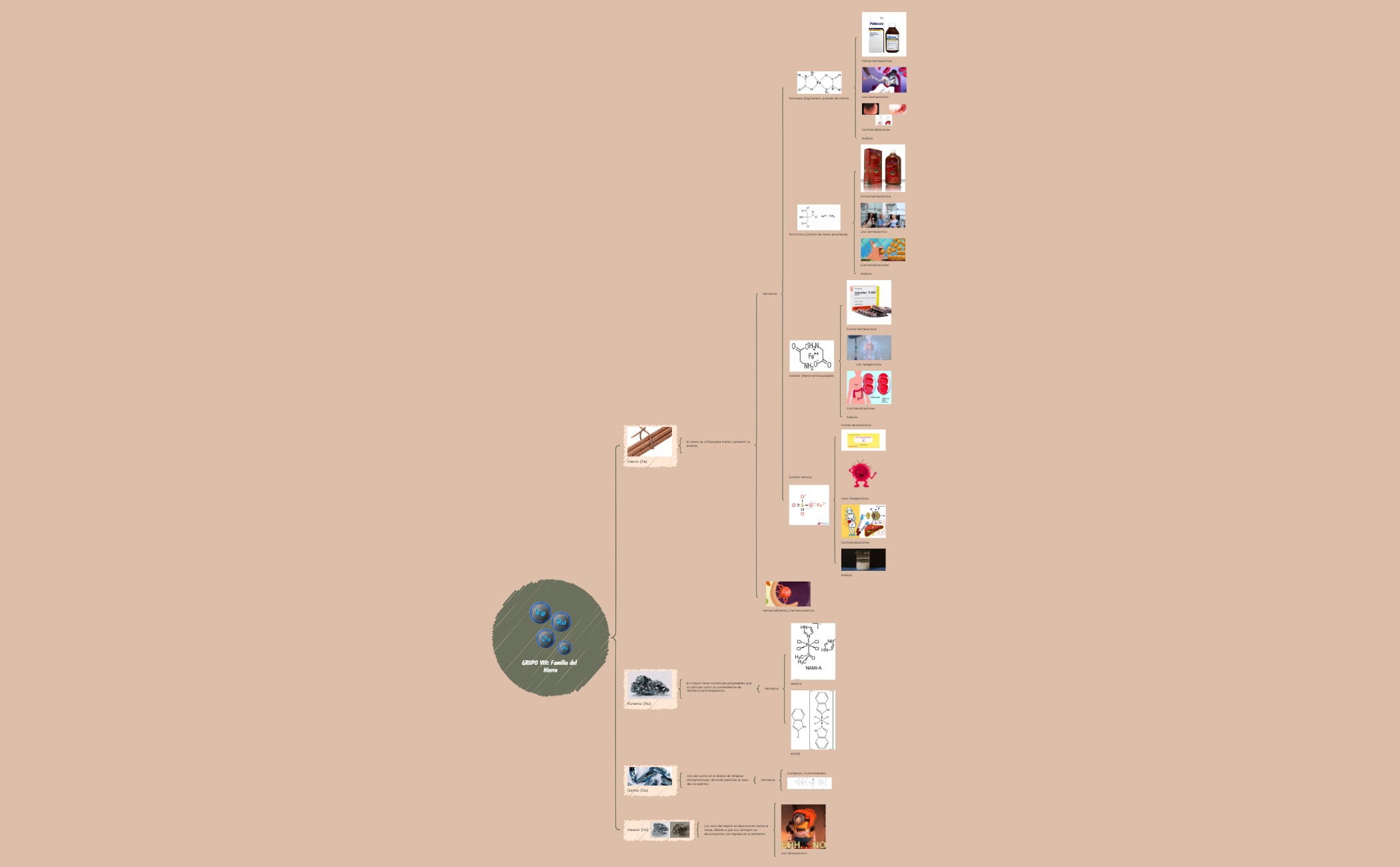 GRUPO VIII  Familia del Hierro.xmind preview 1