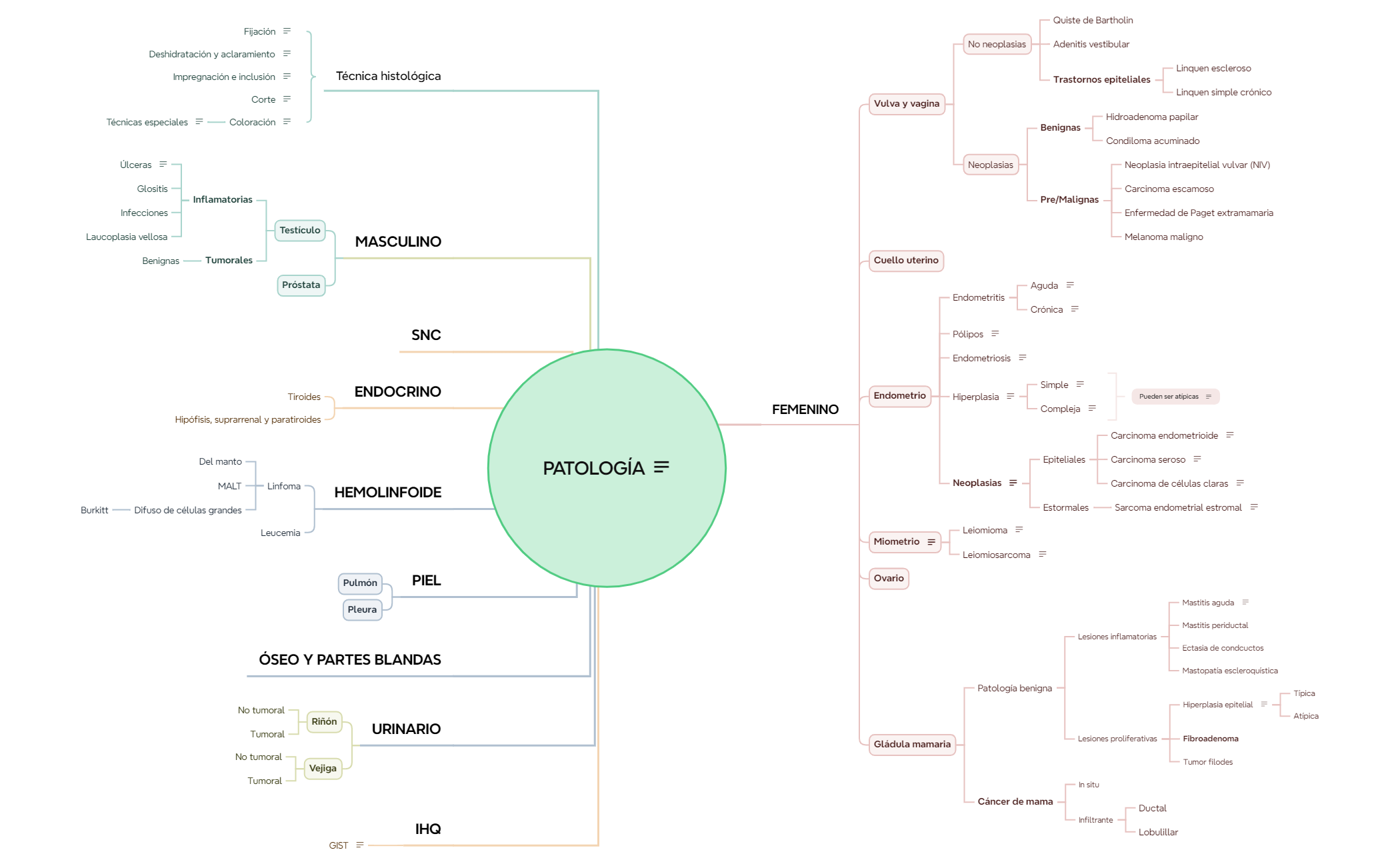 PATO 2 segundo parcial preview 1