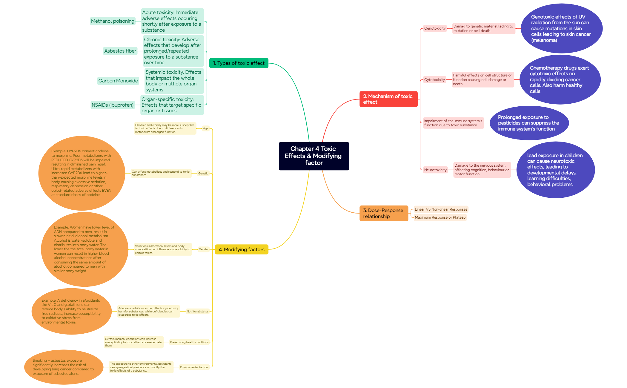 Chapter 4 Toxic Effects & Modifying factor - XMind Template
