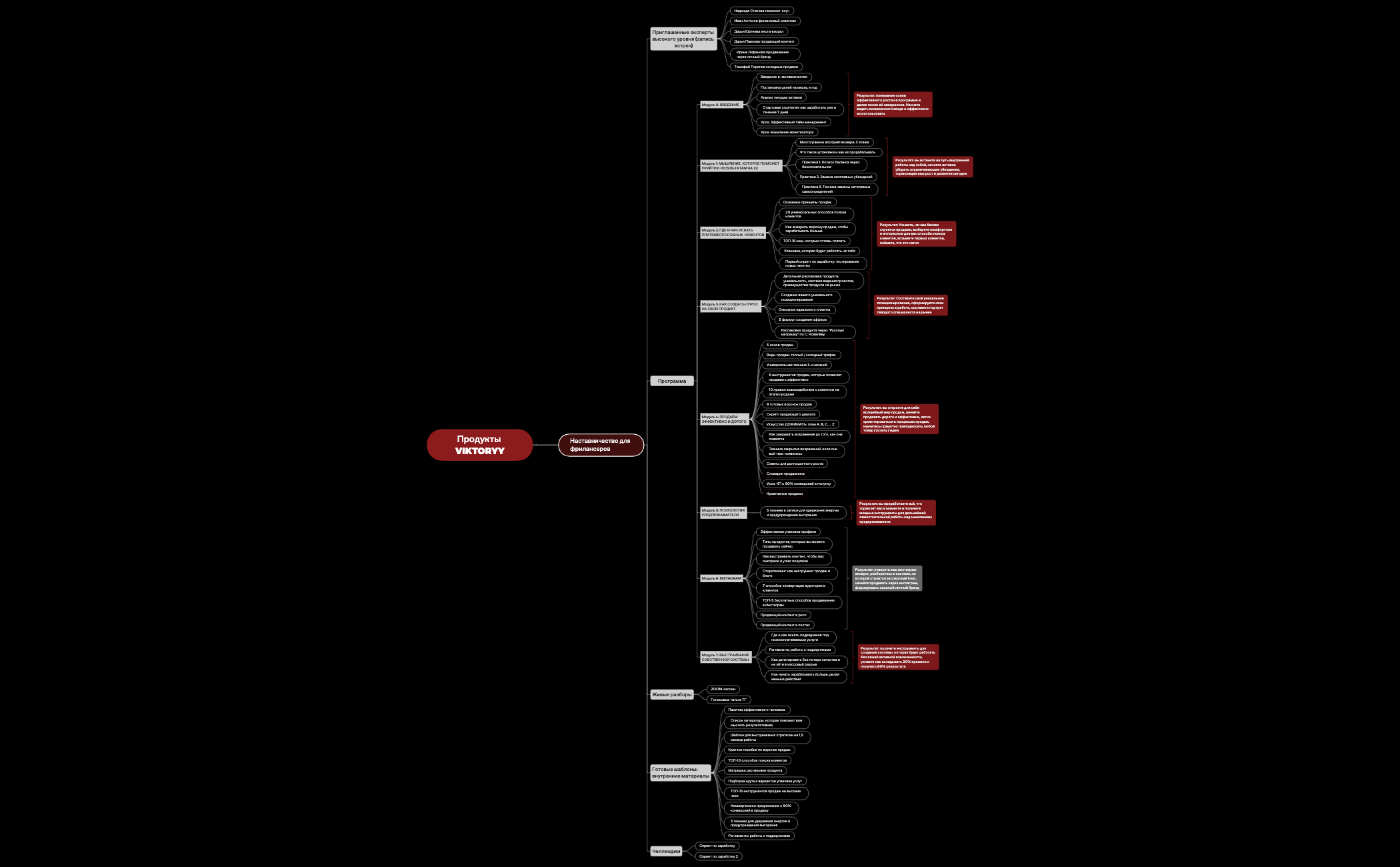 Продукты VIKTORYY наставничество preview 1